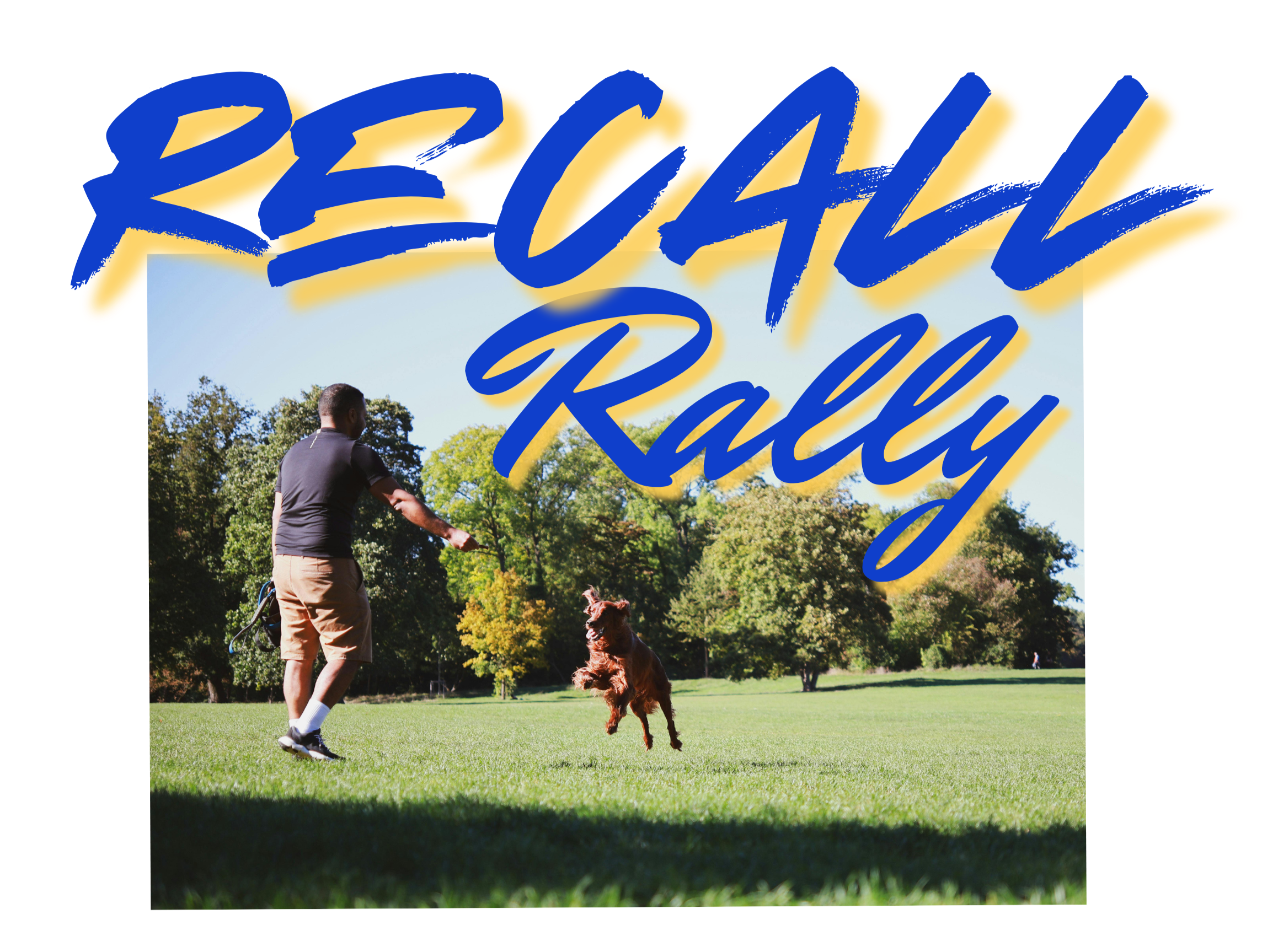 A man recalling his dog in a park on a sunny day, with trees and a clear sky in the background, overlaid with bold blue text reading 'Recall Rally'.