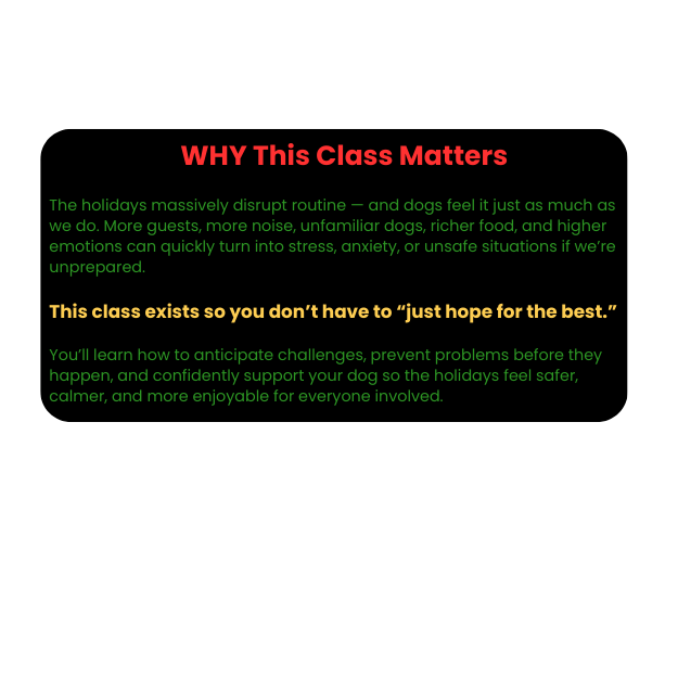 A black background with multicolored text about the importance of a class for dogs during holiday disruptions, emphasizing support and safety for dogs.