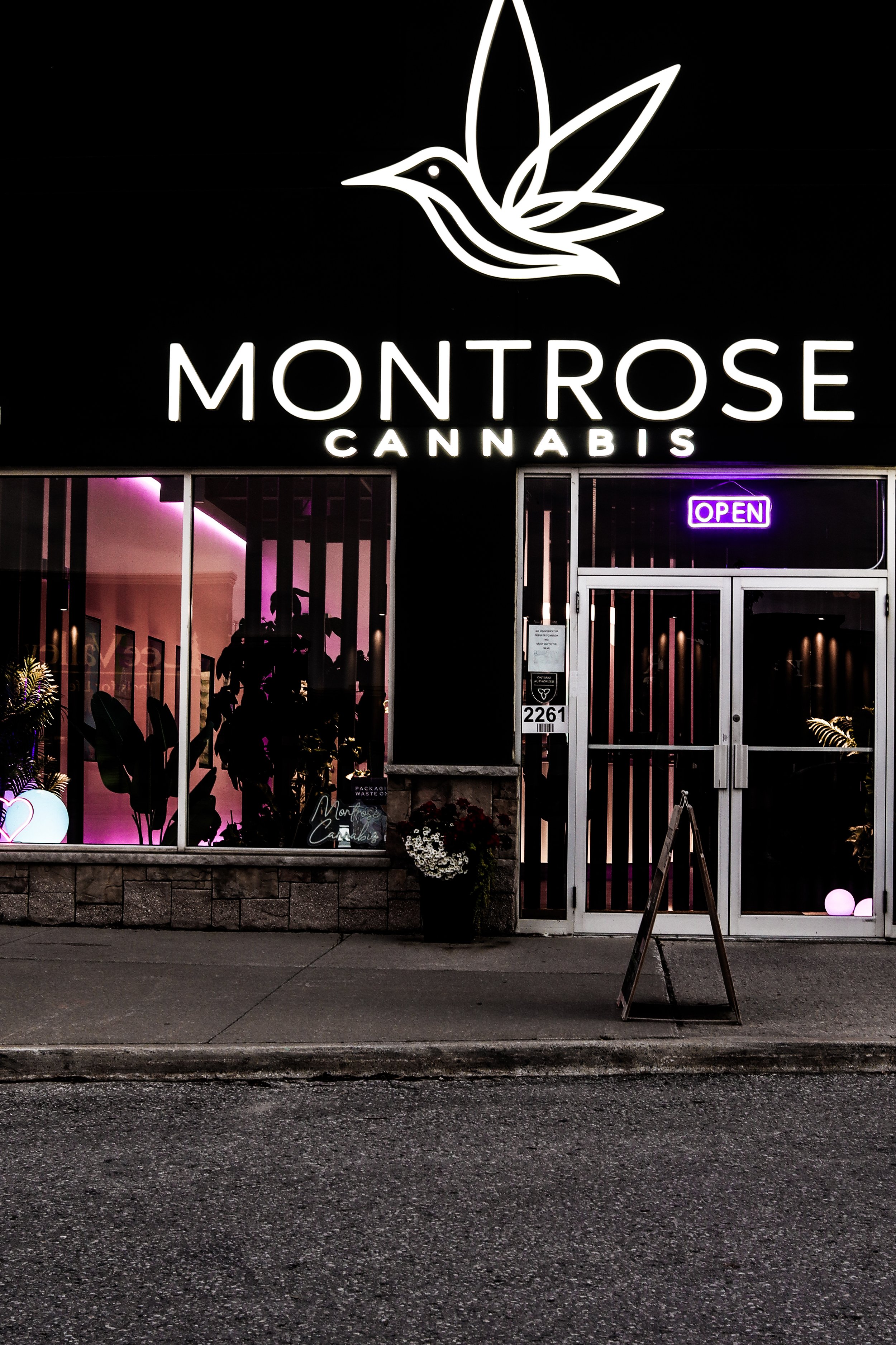 The storefront of Montrose Cannabis is illuminated at night, featuring a neon Hummingbird logo and a sign indicating the store is open. The window display shows plants and interior lighting with purple accents, and a sidewalk with a small signboard s