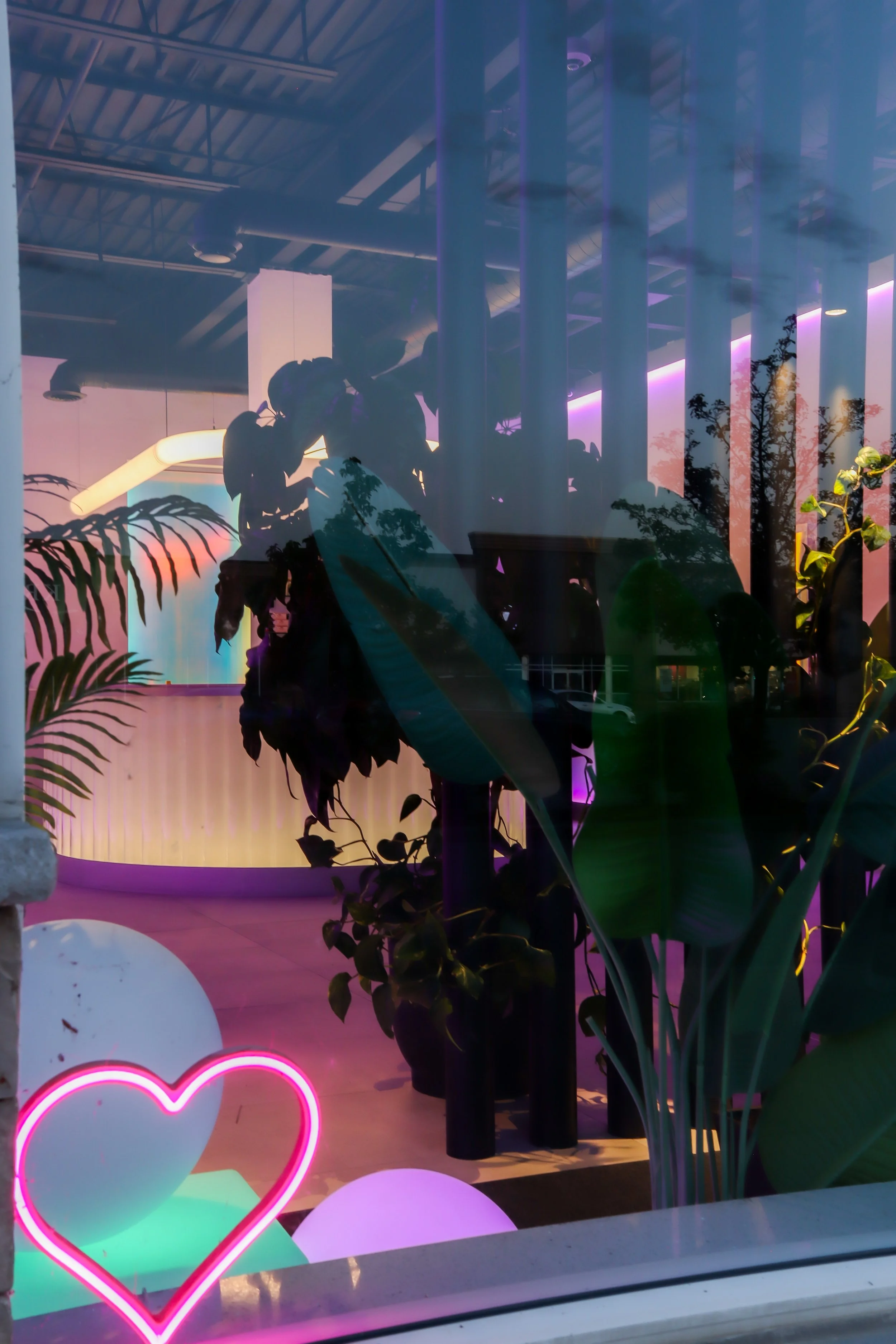 A window with colorful neon lights, including a neon heart shape, and plants inside, creating a vibrant and cozy atmosphere.