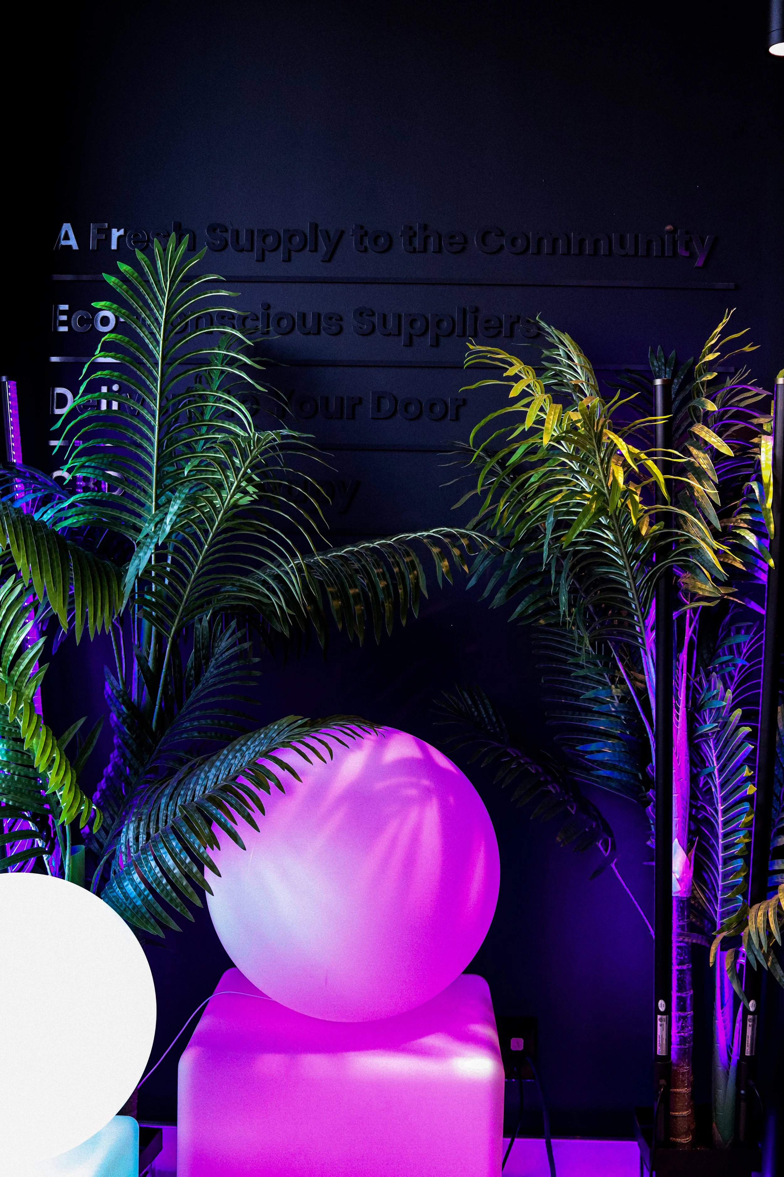 Decorative scene with illuminated pink and purple spheres, green tropical plants, and a dark background featuring a wall with the text 'A Fresh supply to the Community, Ec...