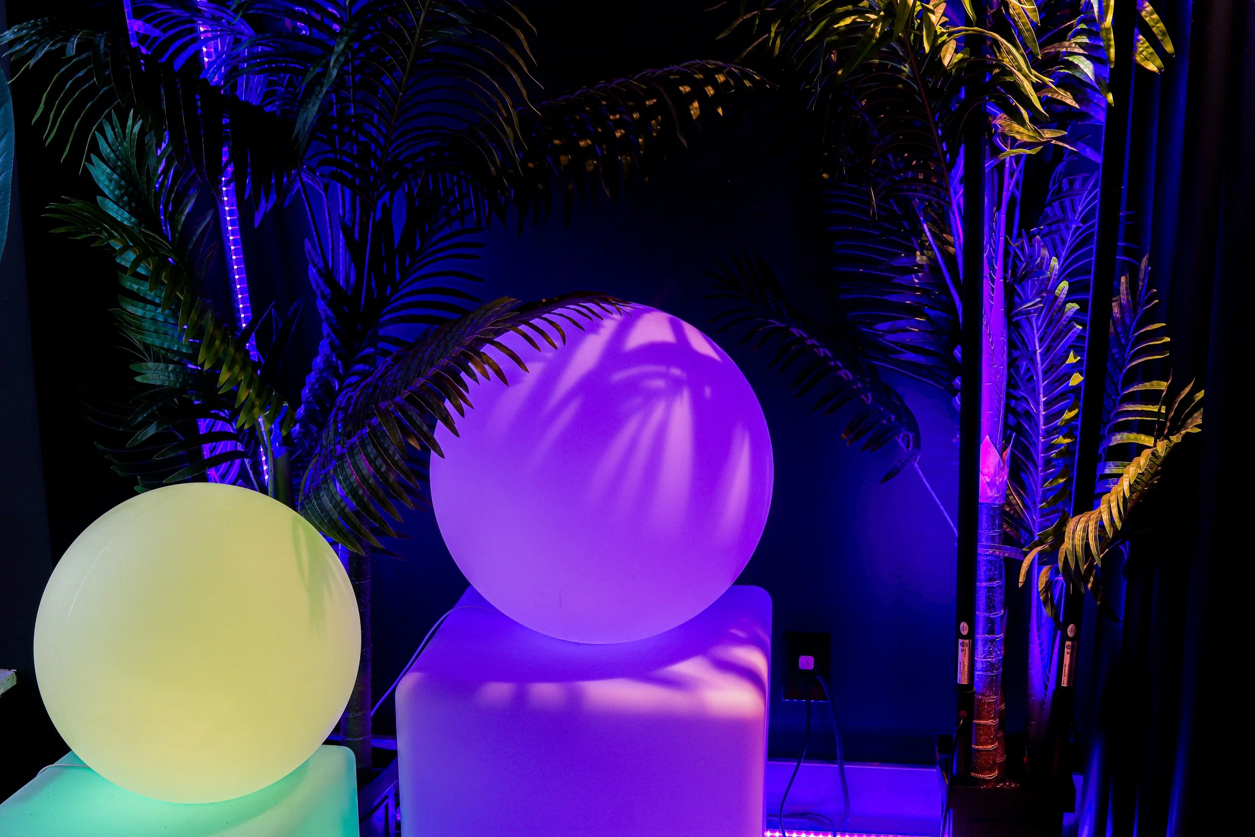 Colorful illuminated spherical lamps surrounded by tropical leaves with purple and blue lighting.