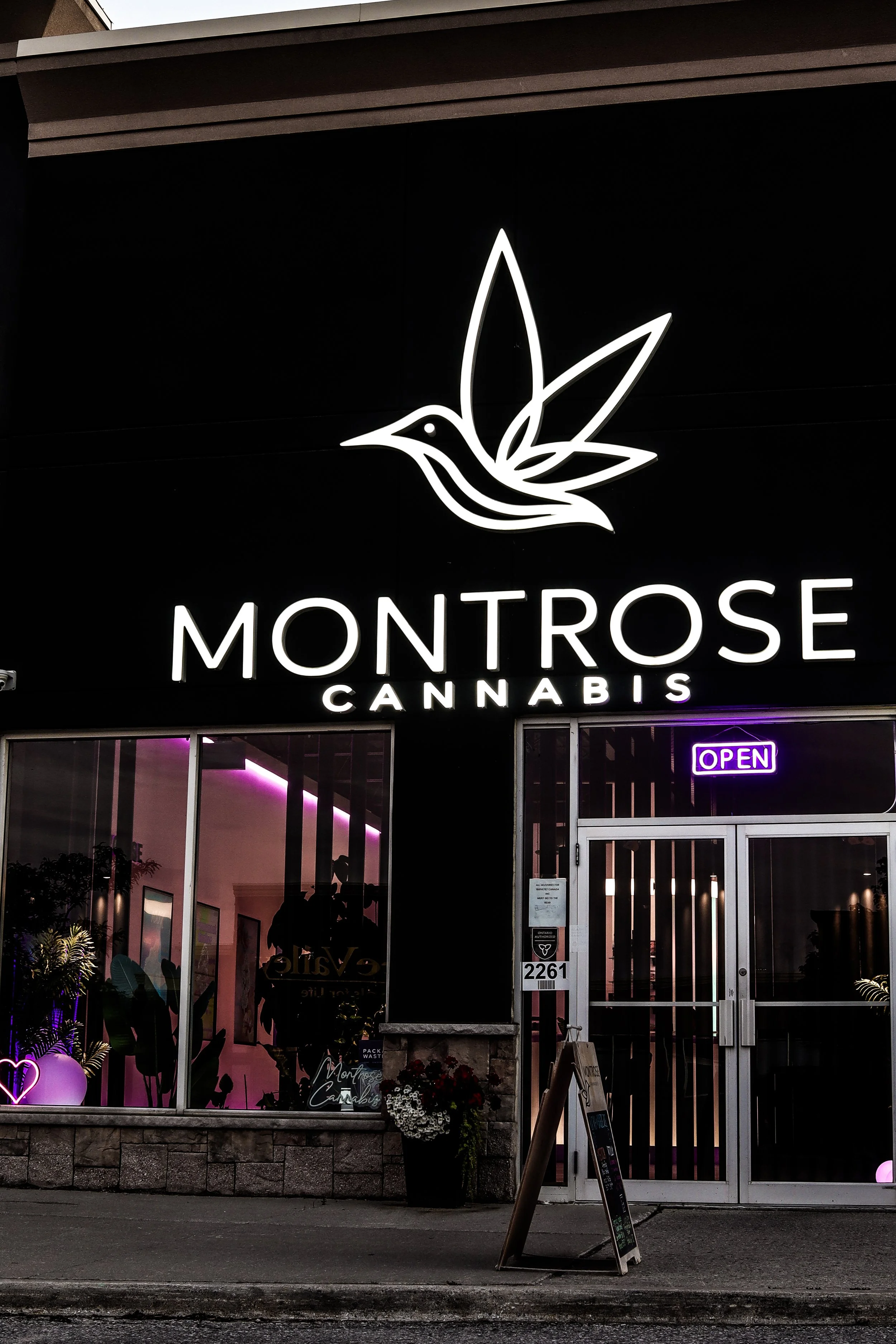 A storefront with a sign displaying 'Montrose Cannabis' featuring a neon outline of a hummingbird with leaves. The inside of the store is visible through large glass windows showing plants and pink lighting. An 'Open' neon sign glows in the window, a