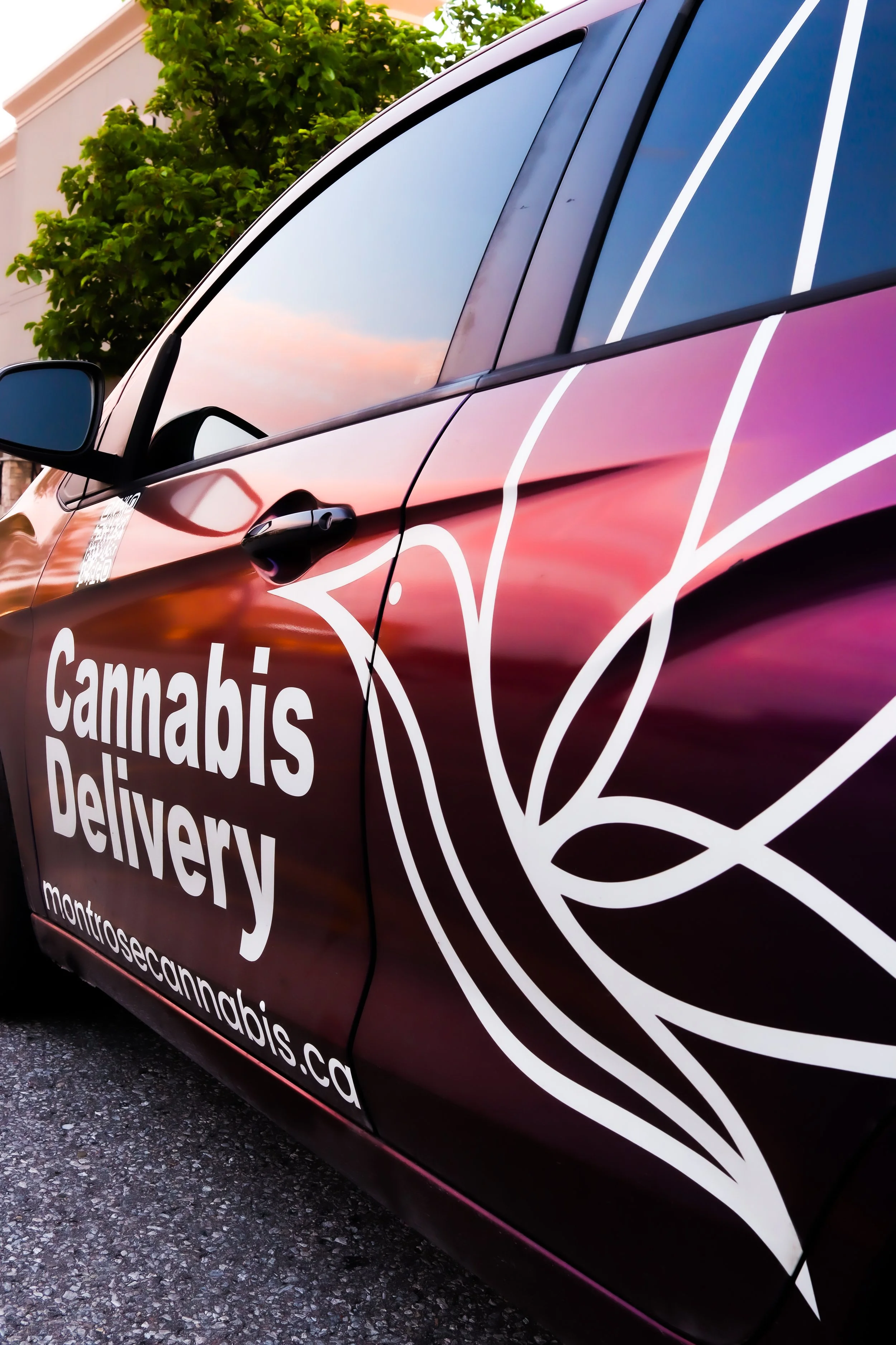 A vehicle with a vibrant vinyl wrap promoting cannabis delivery. The wrap features white text and a cannabis leaf outline on a background with a sunset-colored gradient. The website montrosecannabis.com is visible.