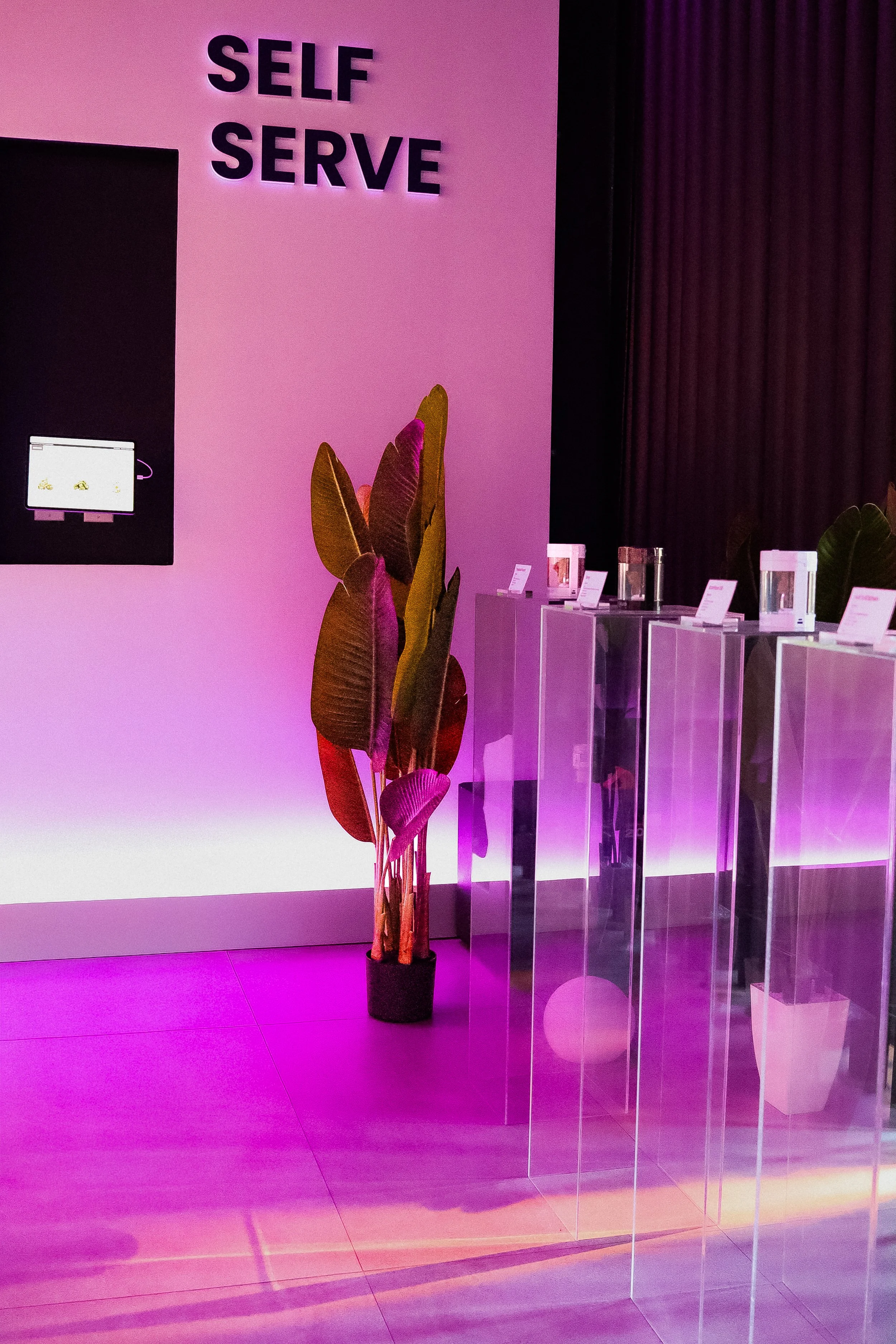 A pink wall with the words "SELF SERVE" in black letters, a tall plant with large green and pink leaves, a black wall or curtain on the right, and a display with clear pedestals and small cards on top.