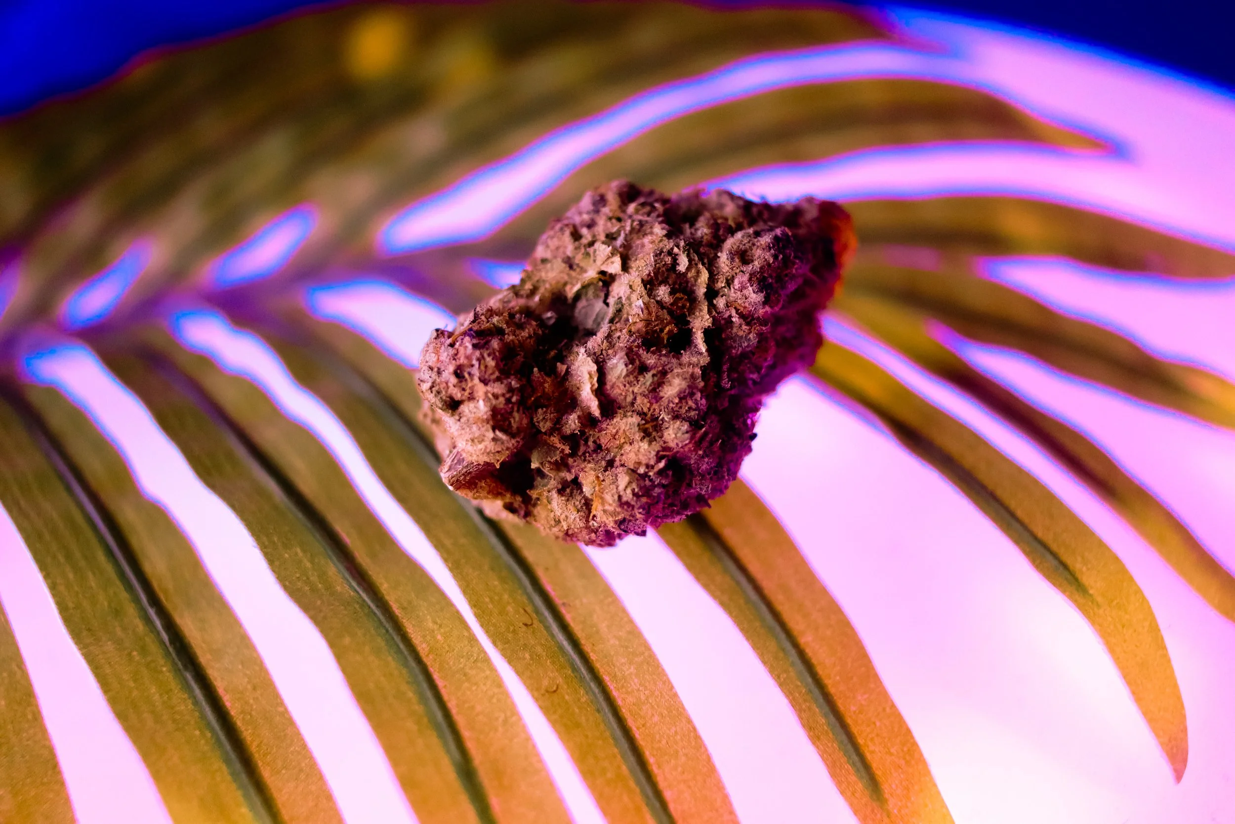 Close-up of a burning cannabis joint on a metal grid with colorful neon lighting.