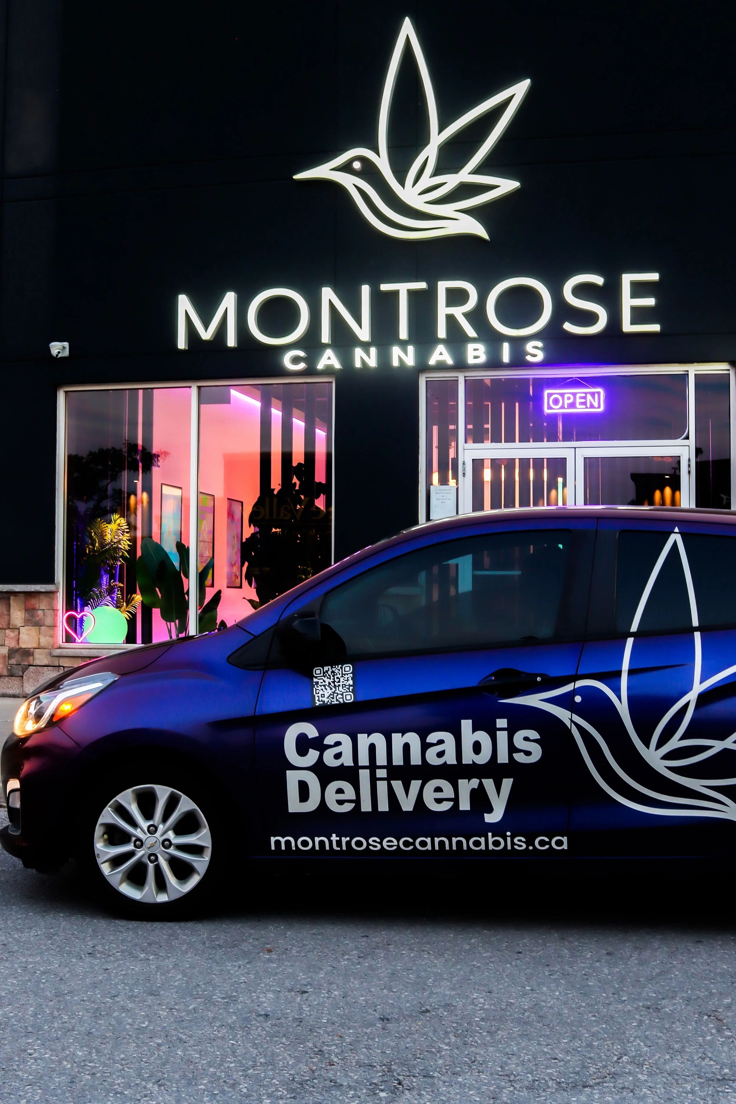 Storefront with neon sign reading 'Montrose Cannabis' and a hummingbird logo, with neon 'Open' sign in window; vehicle with legal cannabis delivery branding in foreground.