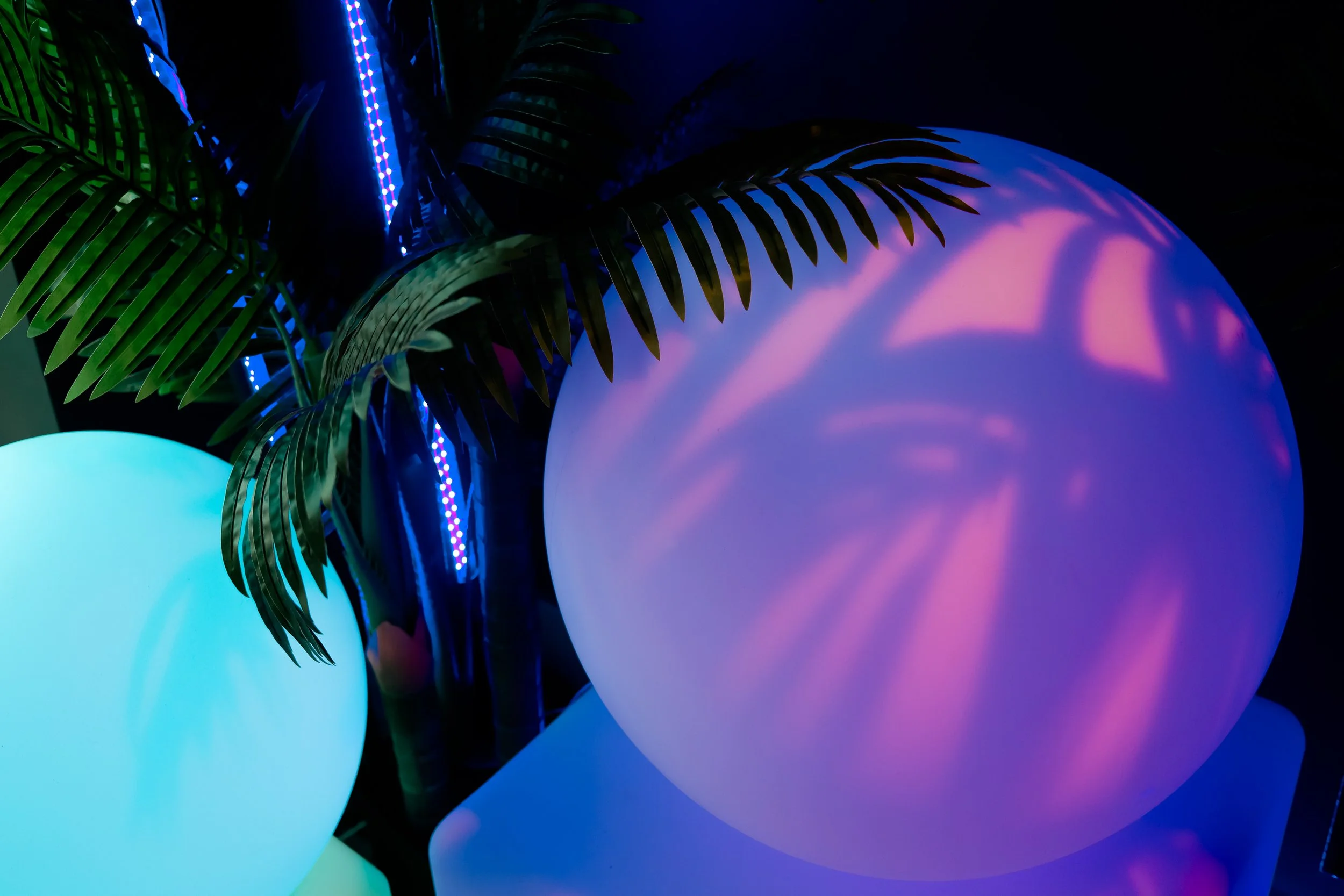 Colorful glowing balloons and tropical leaves illuminated by vibrant purple, blue, and green lights.