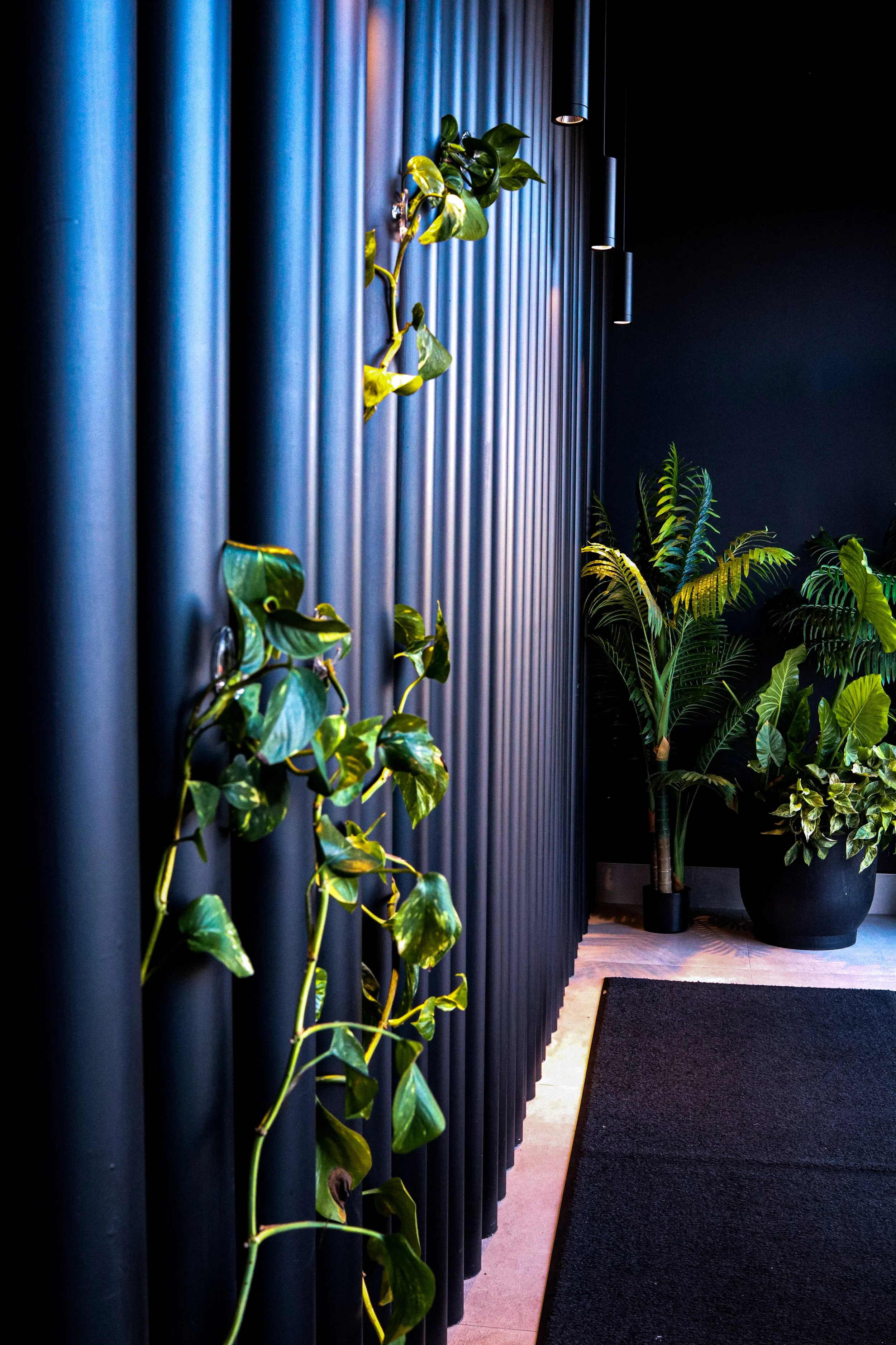 Indoor space with dark walls, vertical black slats, and green plants including a long vine with variegated leaves and several potted large-leaf plants on the floor. There are modern black pendant lights hanging from the ceiling and a black rug on a l
