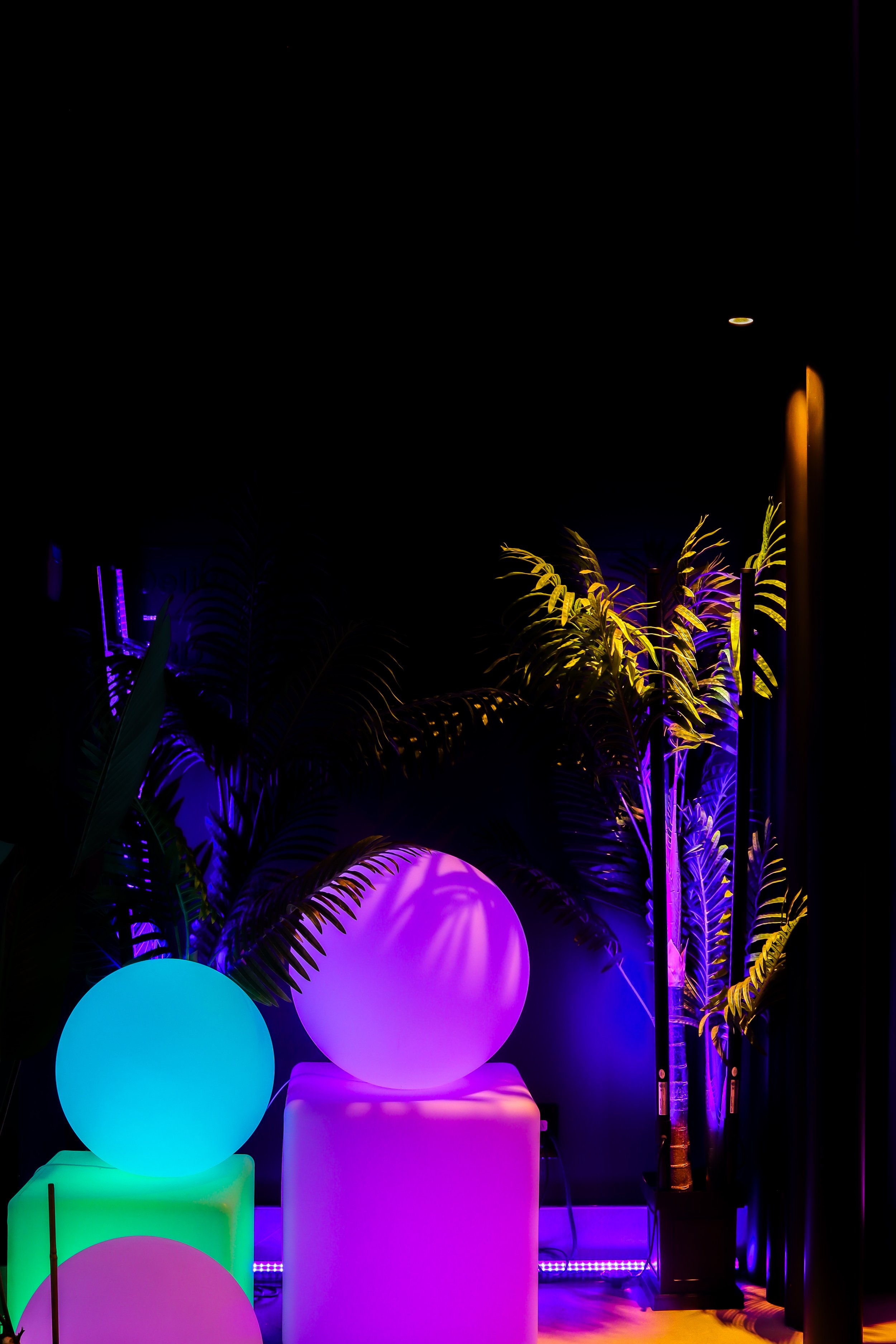 Night scene with illuminated geometric shapes and tropical plants lit by colorful LED lights.