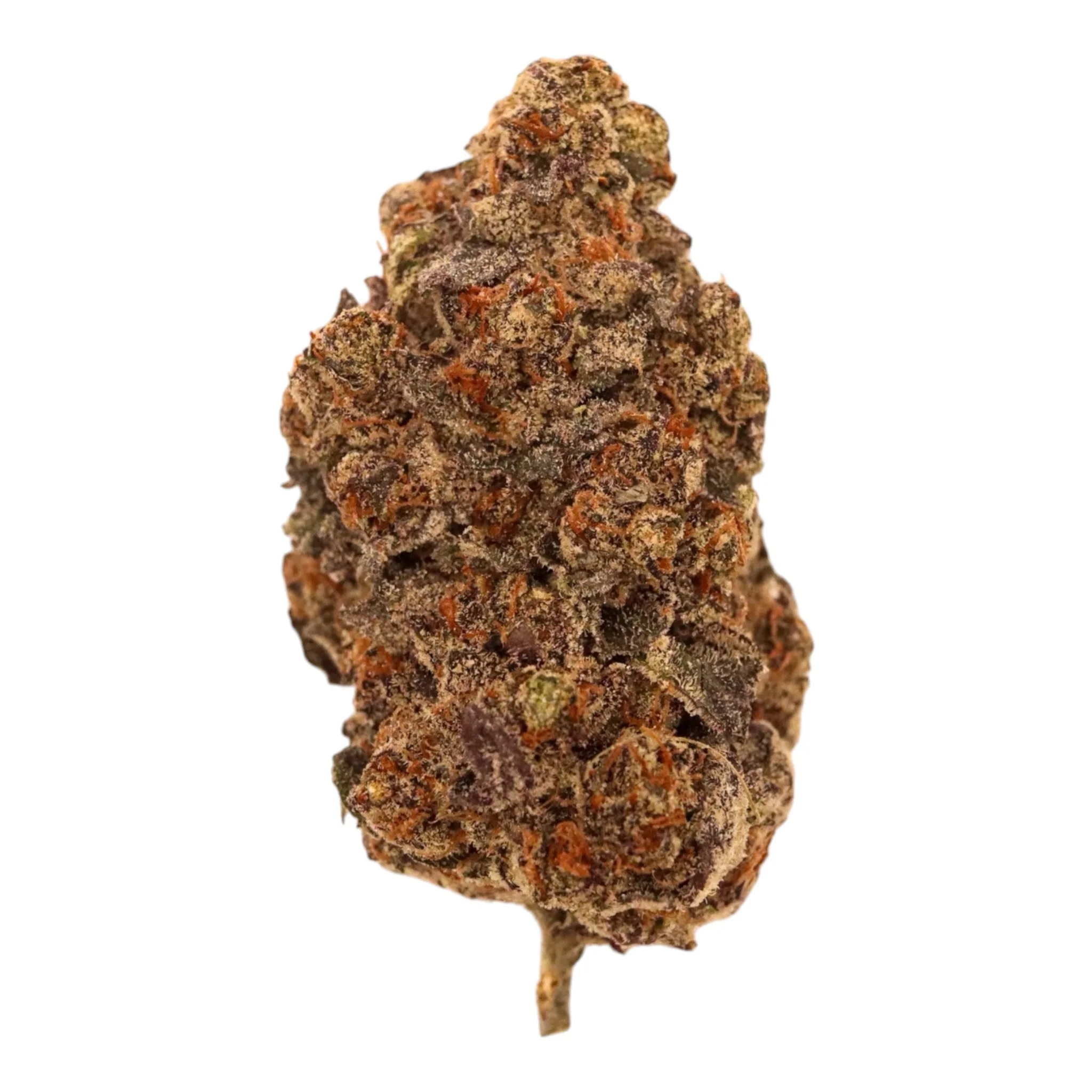 Close-up of a cannabis bud with dense green and orange hues, covered in trichomes.