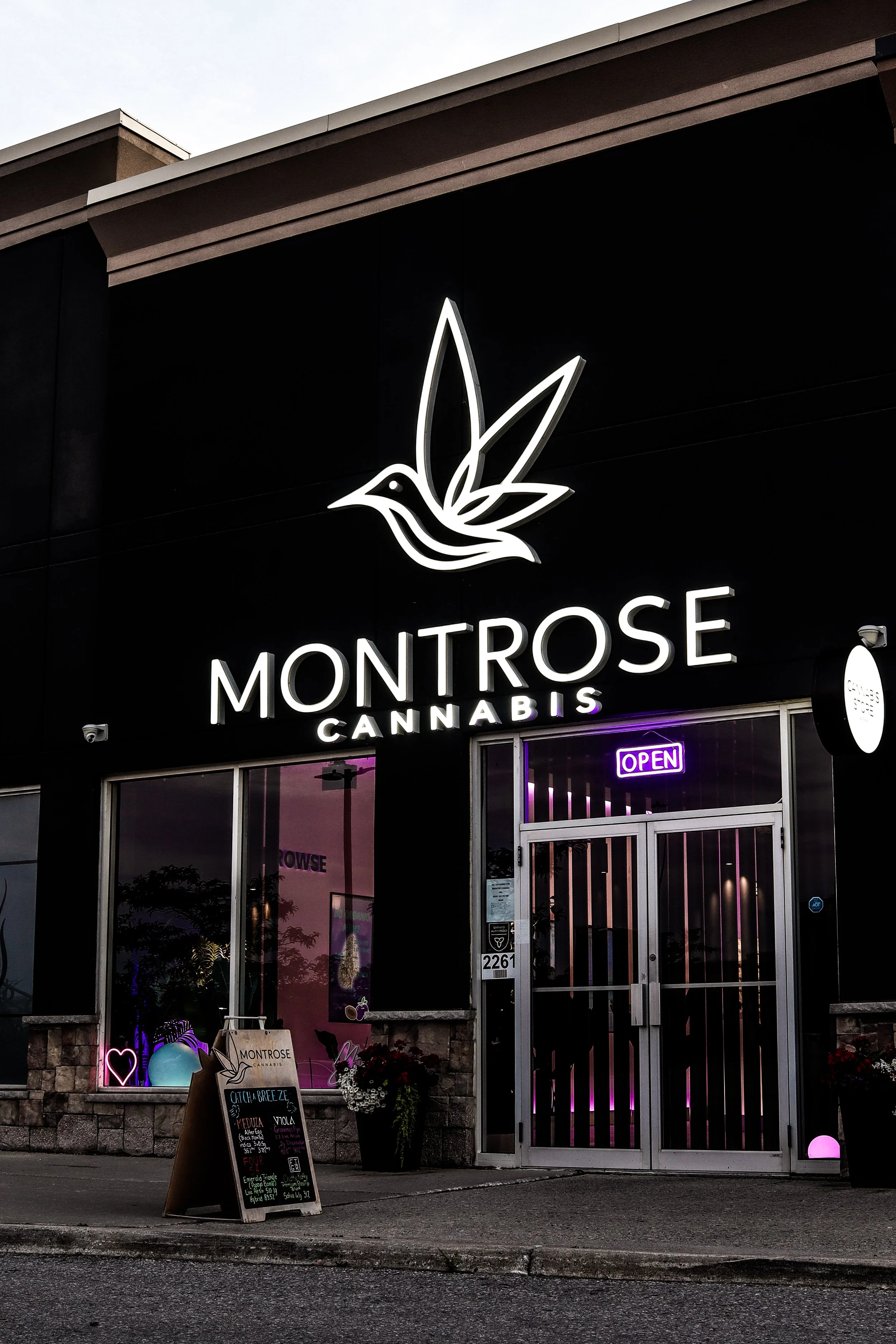 The storefront of Montrose Cannabis with a neon sign of a bird with leaves, an "OPEN" sign, and a chalkboard outside with a menu, potted plants, and decorations.