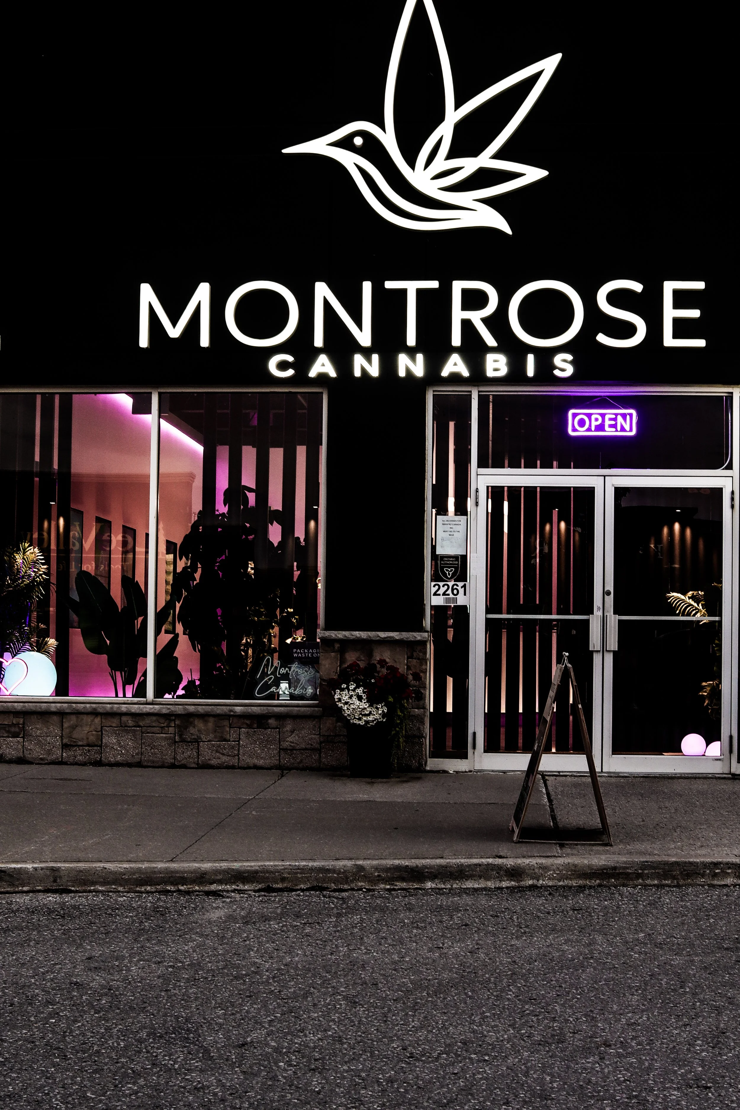  storefront with a neon sign for Montrose Cannabis, a hummingbird logo above the sign, purple 'Open' sign in the window, plants visible inside, flowers outside, and a sidewalk sign outside the entrance at night.