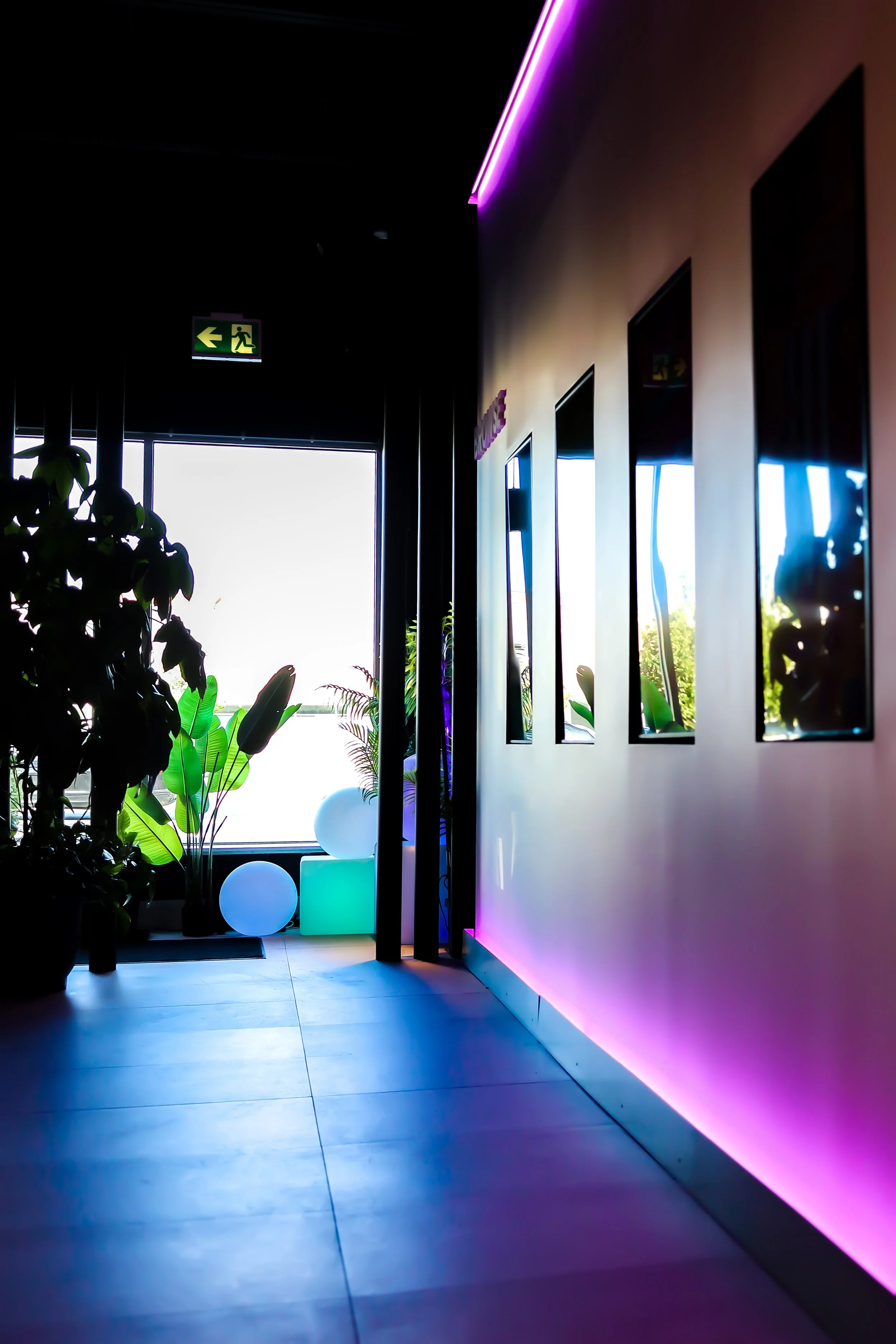A room with large windows letting in daylight, framed by black walls with purple neon lighting along the ceiling and walls. There are several plants, including a potted plant on the left, and illuminated spherical and cube-shaped lights on the floor 