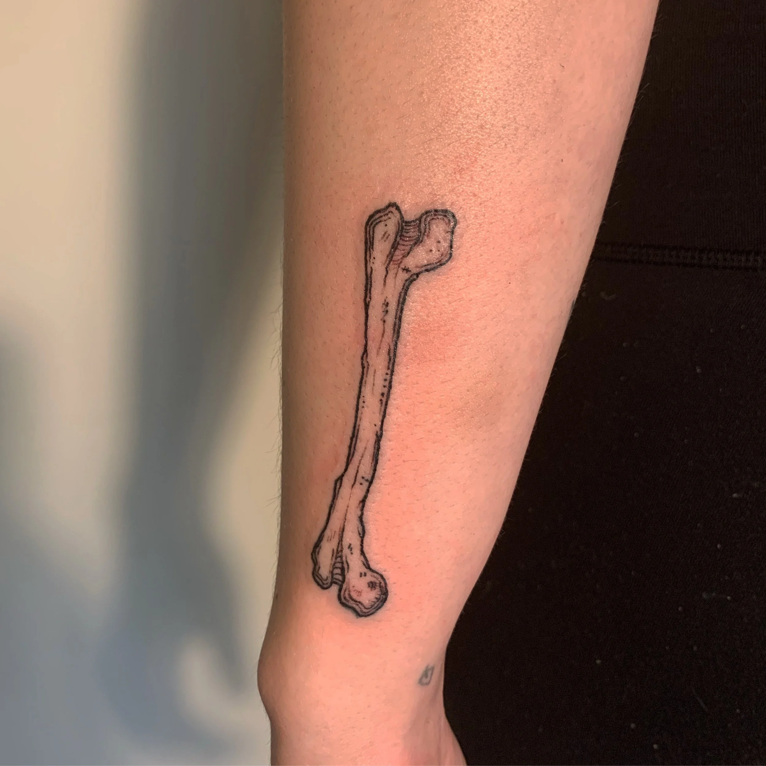 00 - 3606.jpg