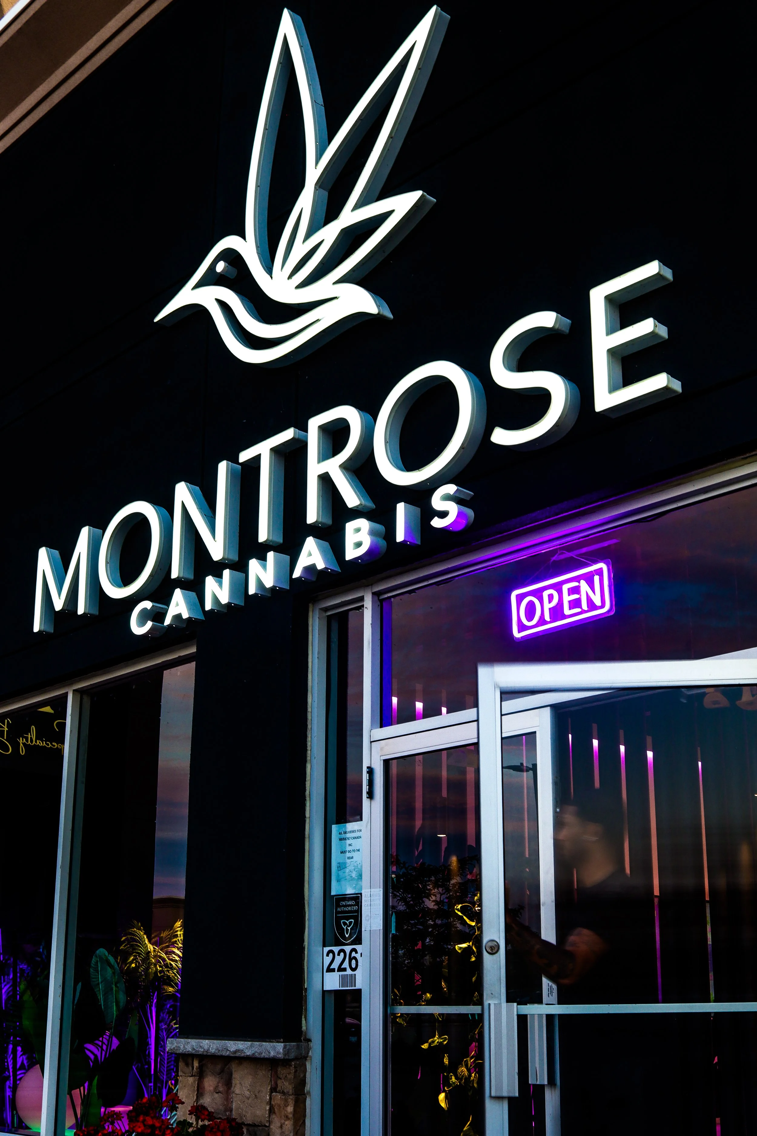 Neon sign reading 'Montr ose Cannabis' with a stylized bird logo, purple 'Open' sign, and storefront entrance