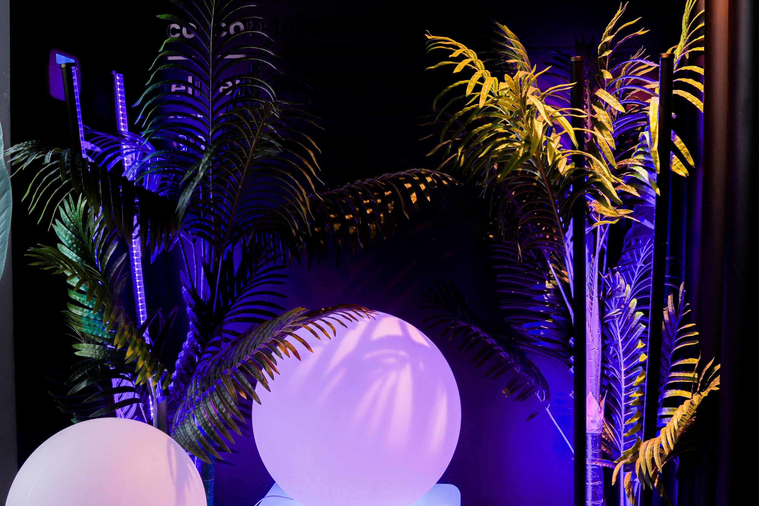 Decorative display with yellow and green tropical plants illuminated by purple light, large white spherical objects, and a dark background with partially visible text.
