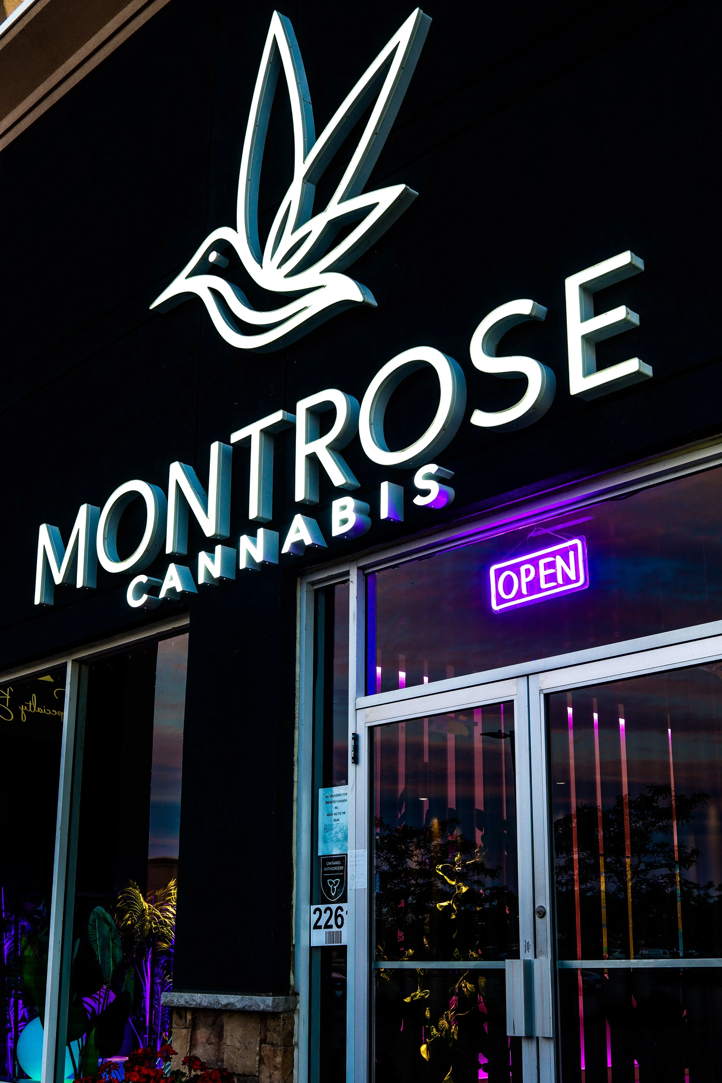 Neon sign for Monte Rose Cannabis with a stylized dove logo, neon 'OPEN' sign, and glass door reflecting trees and purple lighting inside.