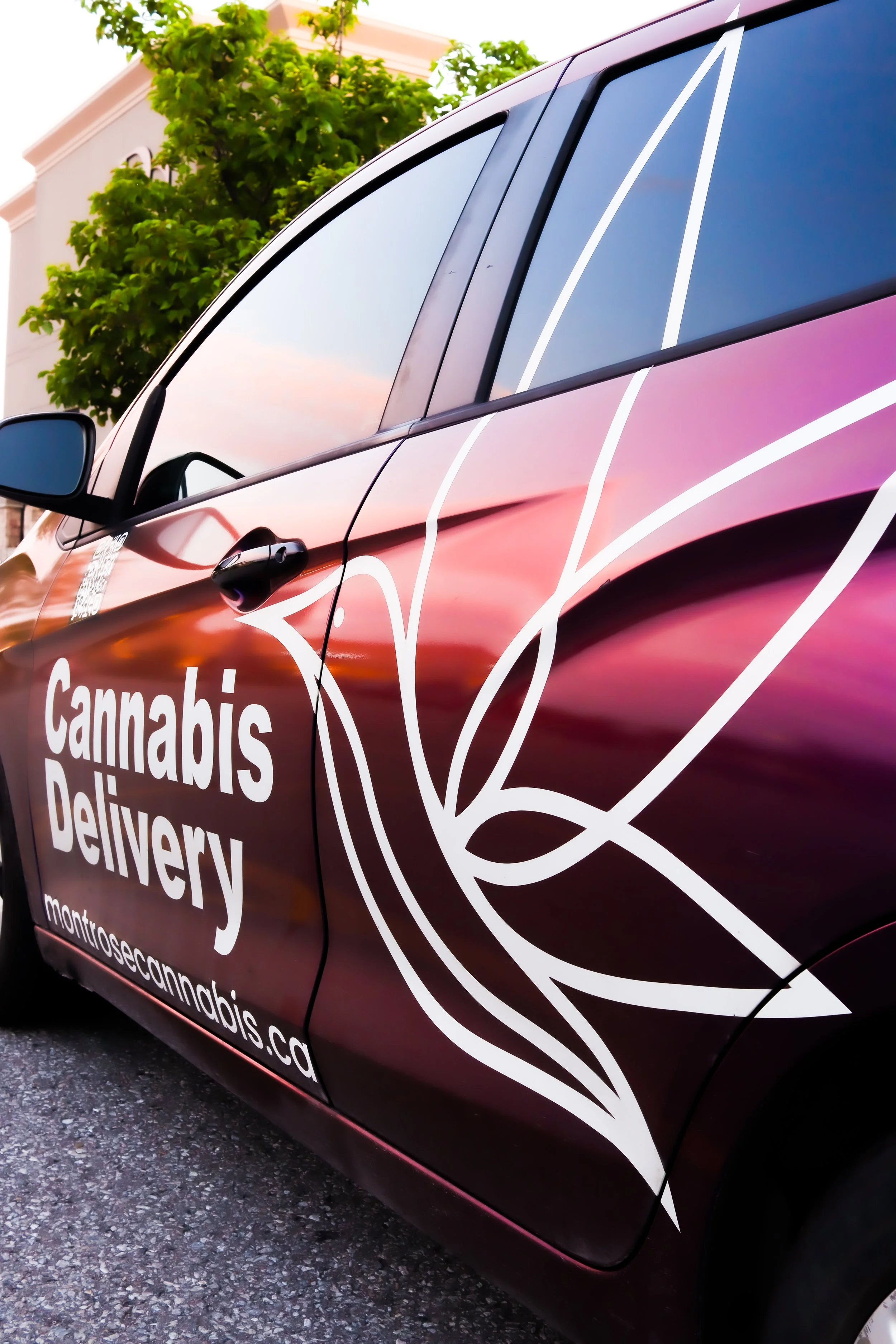 Close-up of a vehicle with vinyl wrapping promoting a cannabis delivery service, featuring white cannabis leaf outlines, in an outdoor setting with trees and a building in the background.