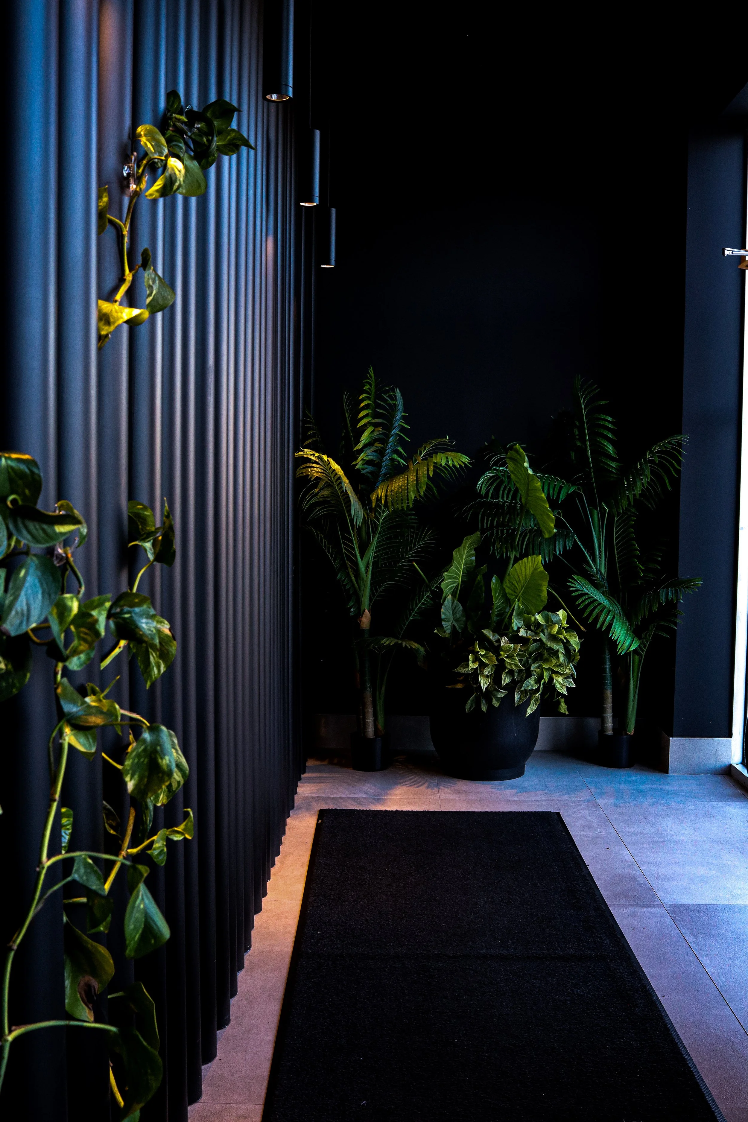 Interior view of a hallway with dark walls, potted green plants, a black welcome mat, and black curtains or wall panels with black pendant lights hanging from the ceiling.