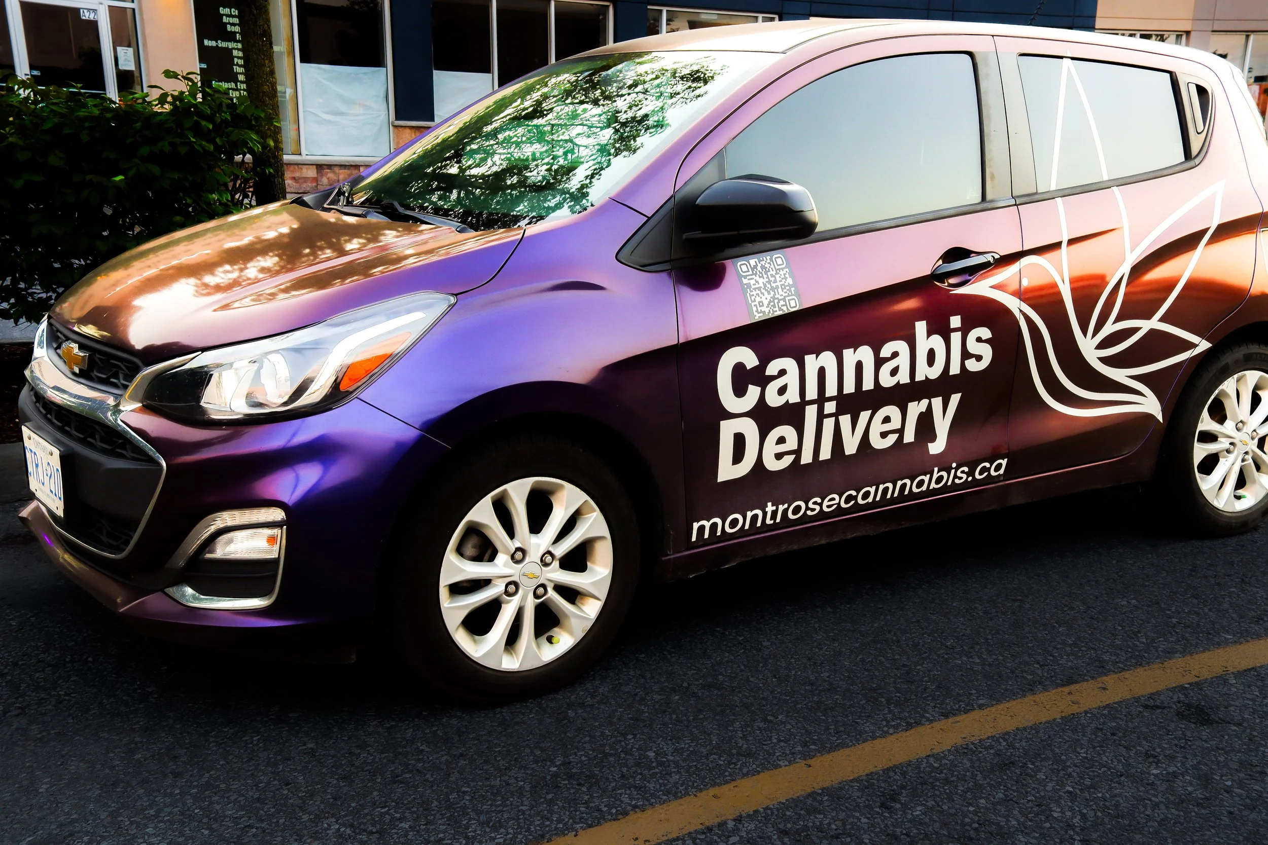 A purple Chevrolet vehicle with decal advertising 'Cannabis Delivery' and a cannabis leaf design parked on a street in front of a business with large windows.