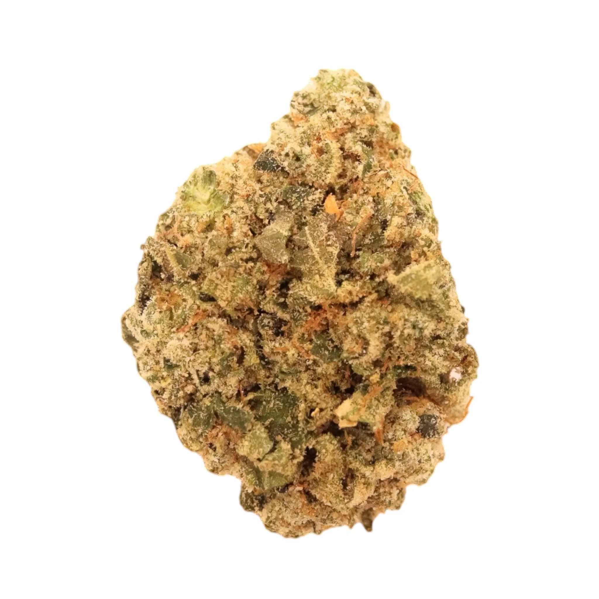 Close-up of a cannabis bud.