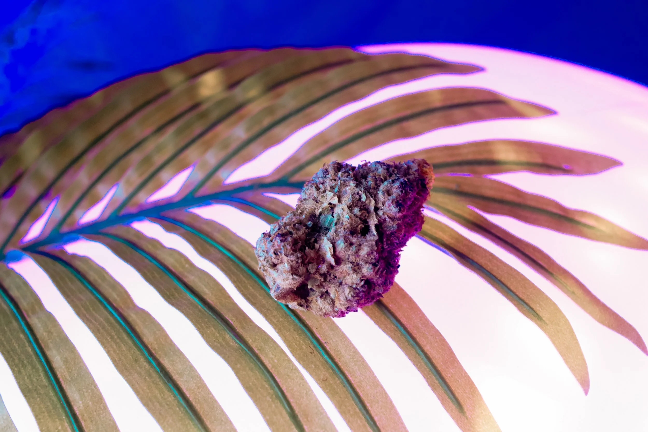 Close-up of a cannabis bud placed on a striped, colorful, translucent surface with neon lighting.