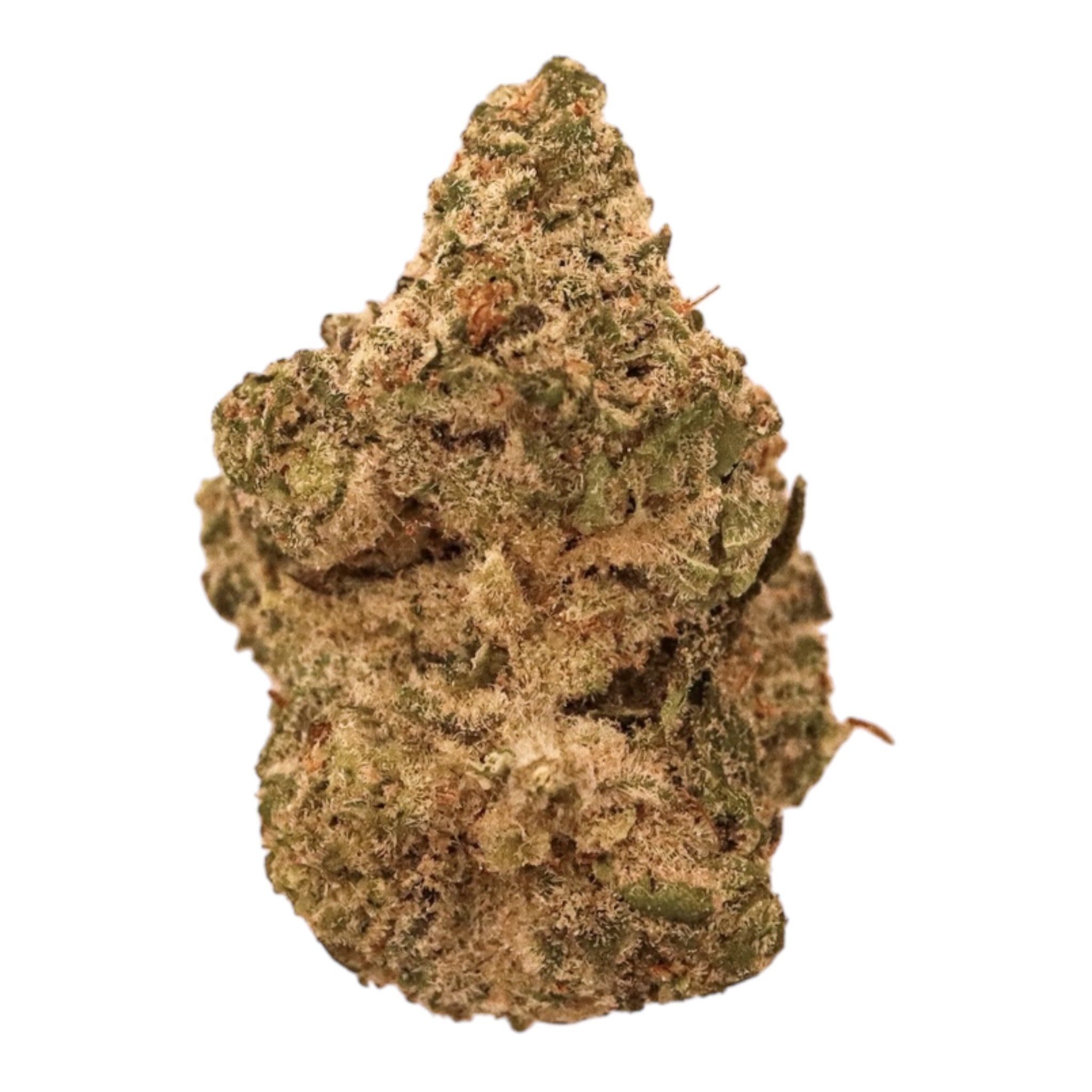 Close-up of a cannabis bud, showing its green, orange, and brown colors with trichomes.
