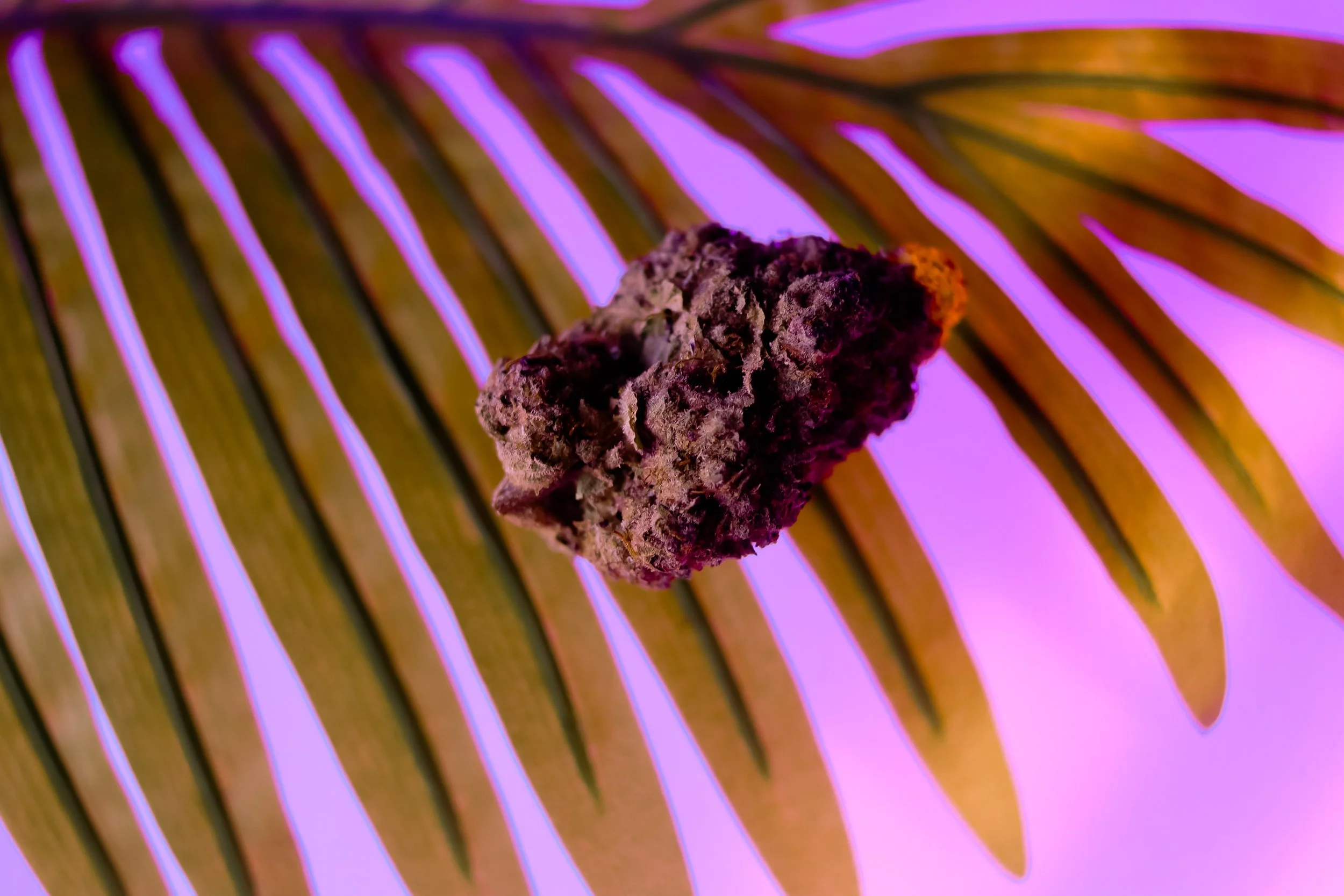Close-up of a piece of baked food, possibly a cookie or snack, on a surface with colorful, purple and yellow striped patterns.