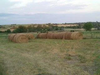 Several hay bales resting on a grassy field with a rural landscape and cloudy sky in the background.