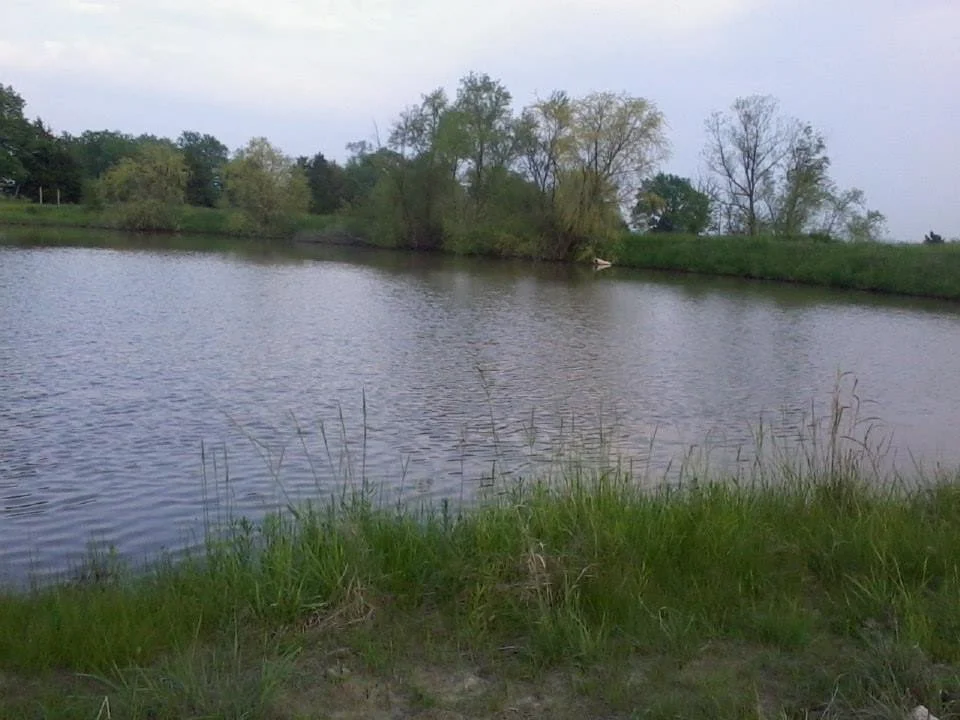 A peaceful pond surrounded by grass and trees under an overcast sky.