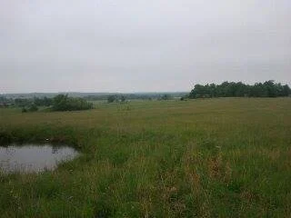 A grassy field with a small pond and trees in the distance under an overcast sky.