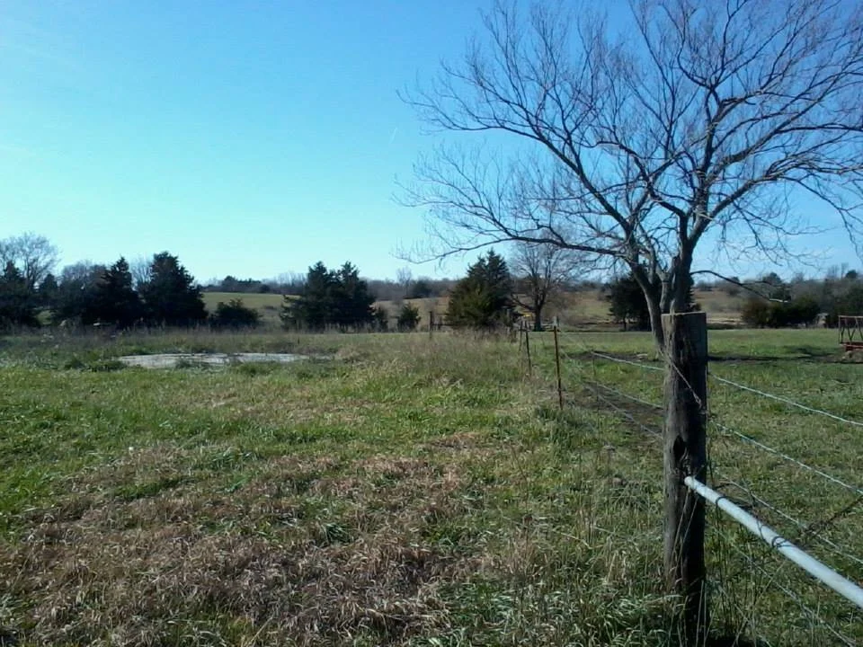 A rural field with a leafless tree, a wooden fence, and a few distant trees under a clear blue sky.