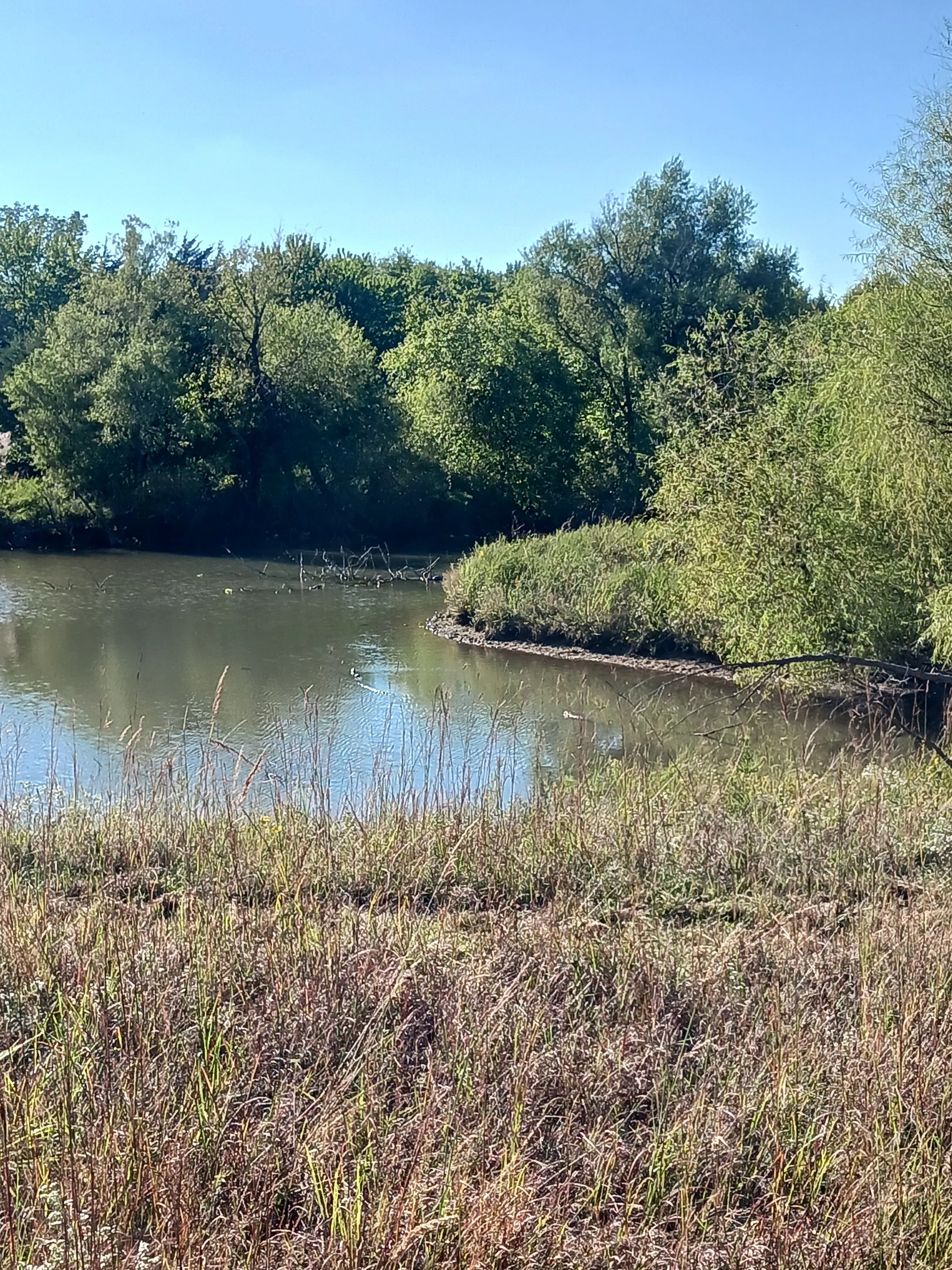 Several ponds to support wildlife