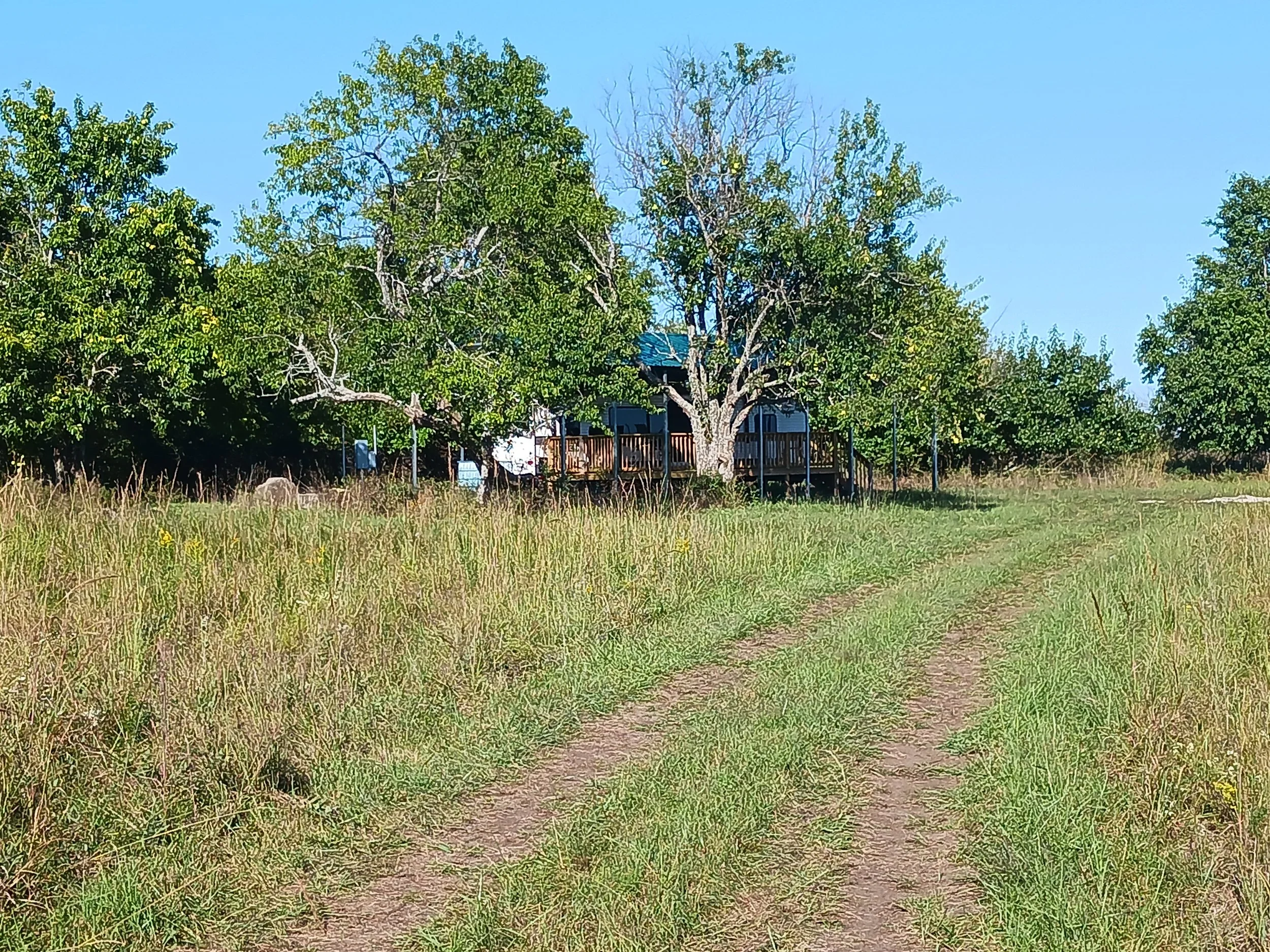 "They will never find me here!"