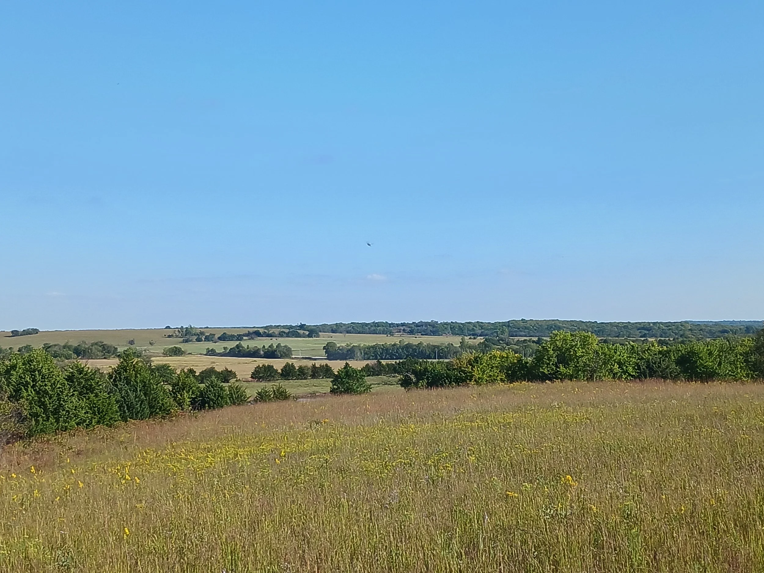 A scenic rural landscape with a wide grassy field in the foreground, green trees scattered throughout, rolling hills in the background under a clear blue sky, and a small airplane flying high above.