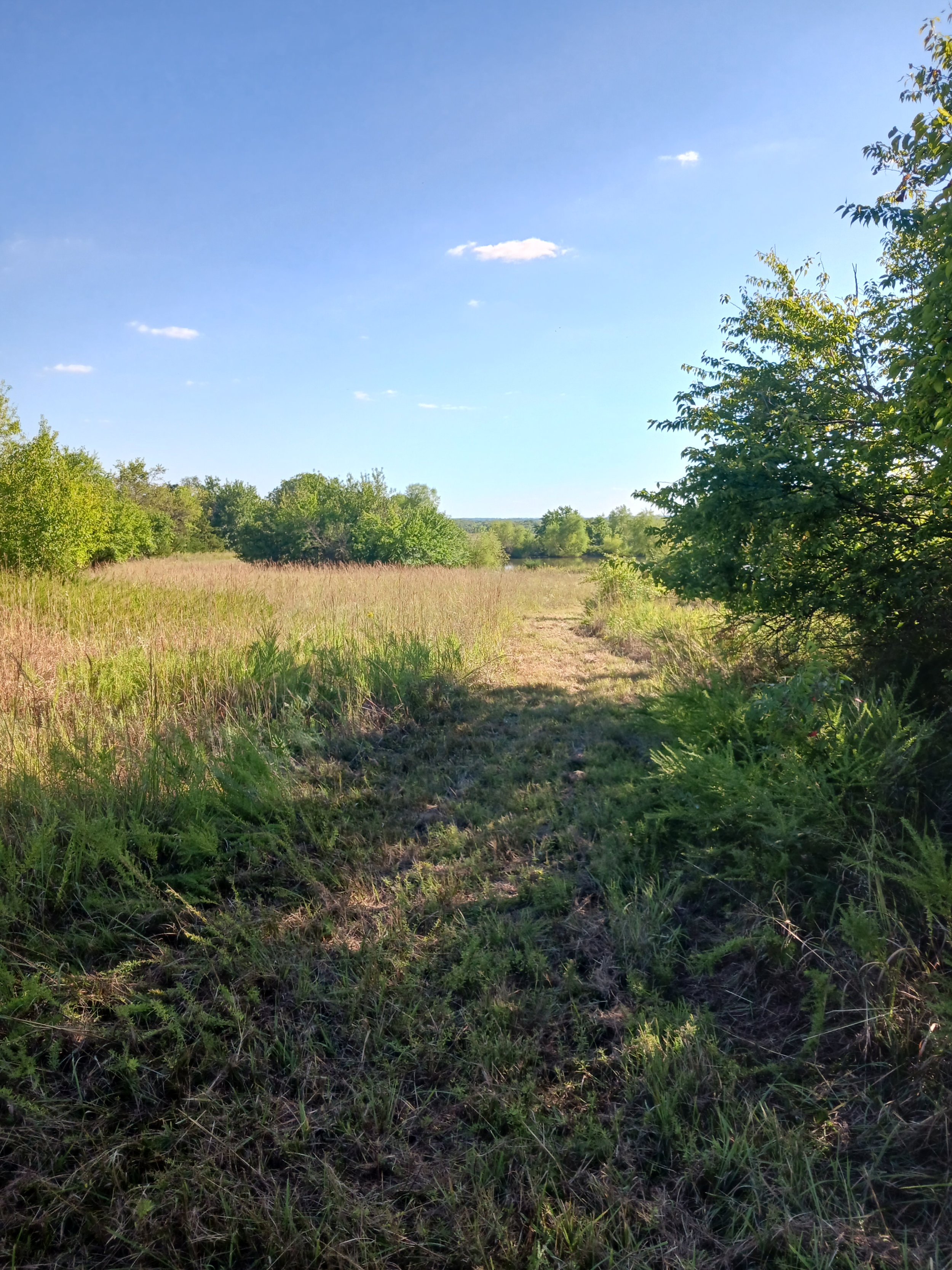 Miles of cleared walking trails