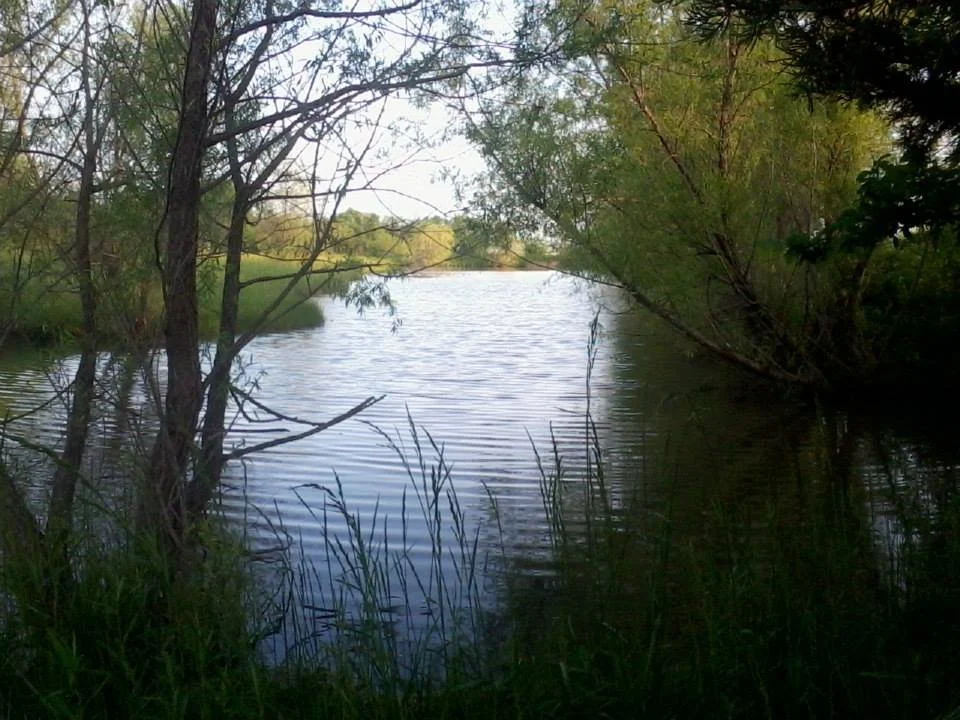 A peaceful river scene surrounded by trees and foliage with reflections on the water.