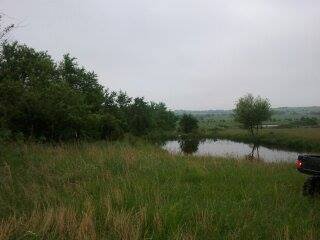 A grassy field with trees near a body of water under a cloudy sky.