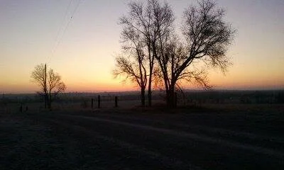 A sunset or sunrise over a flat landscape with trees and a dirt road in the foreground.