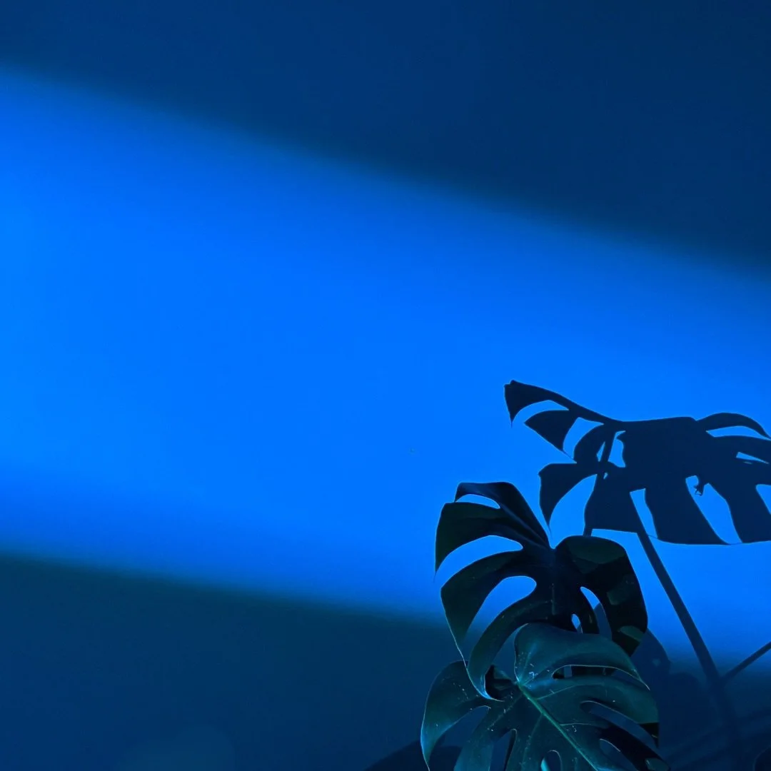 Life pours forth 🌀🌀🌀

When rubies cry out | a poem

#poetry #creative #photography #blue