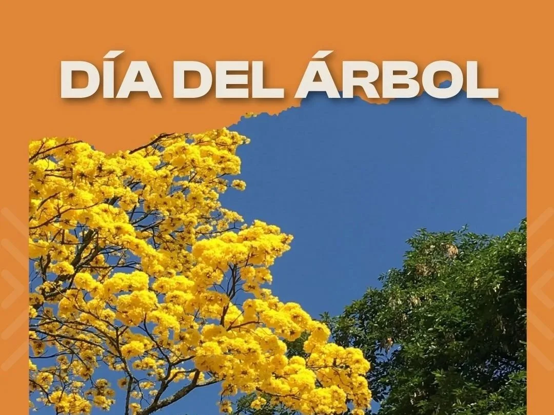 Día del árbol