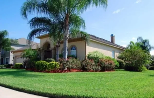 An image of Greenspacing.