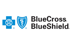 Blue Cross Blue Shield