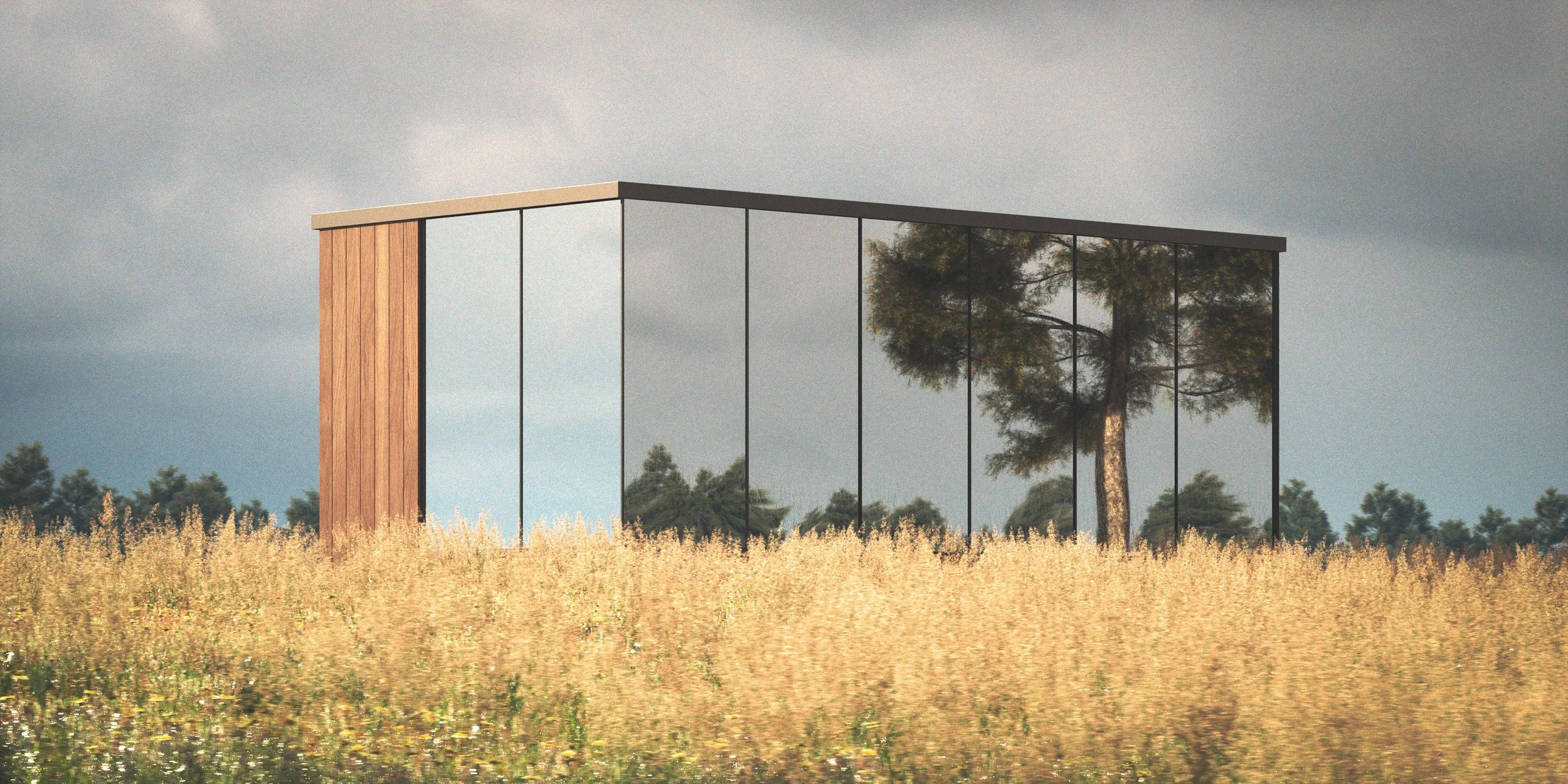 Modern building with glass walls reflecting a tree, situated in a field of tall golden grasses under a cloudy sky.
