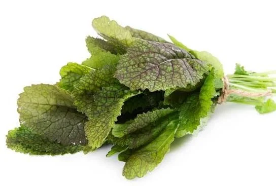 Giant Red Mustard Greens