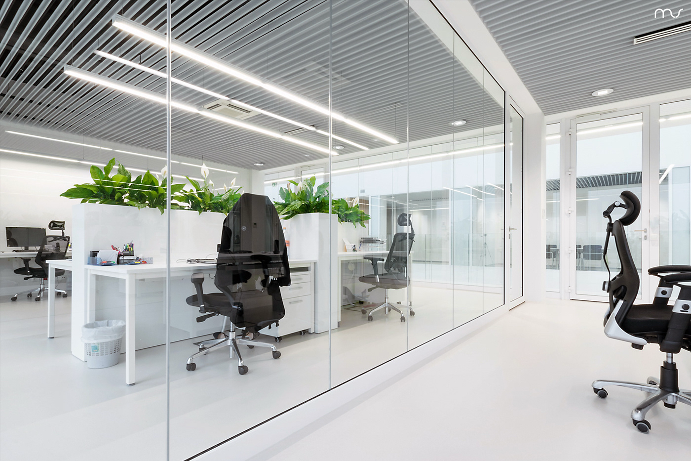 Modern office space with glass partitions, black office chairs, white desks with plants, and a white floor.