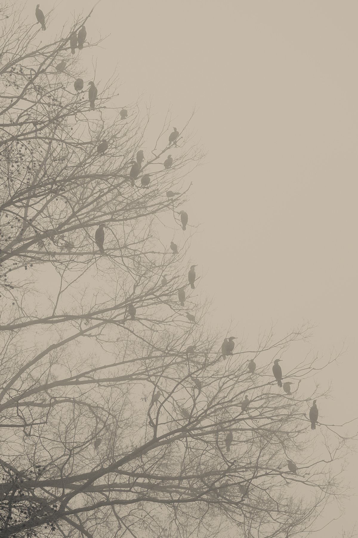 Image-7.jpg