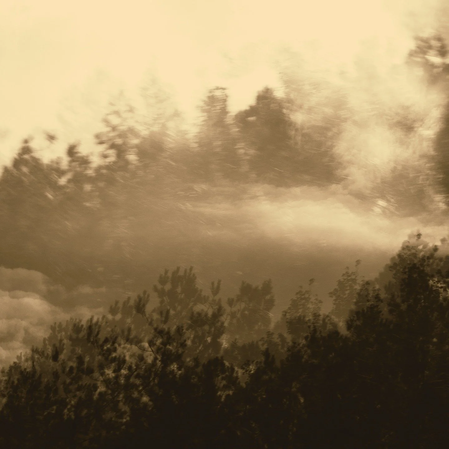 I'm glad he's driving. 70 mph. A visual serenade.