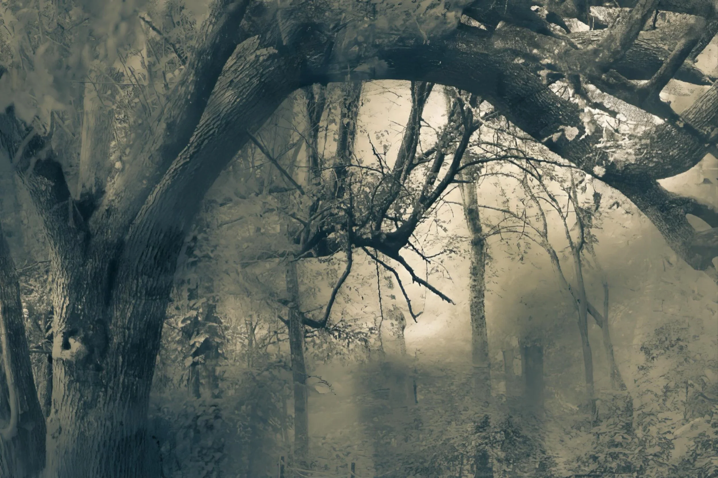 Back in the spring, I was in my happy place walking around Decatur, GA (my home town). This magical tree enthralled me.  I entered it into the Columbus (GA) Artists&rsquo; Guild annual exhibitition and was honored to have been selected for one of the